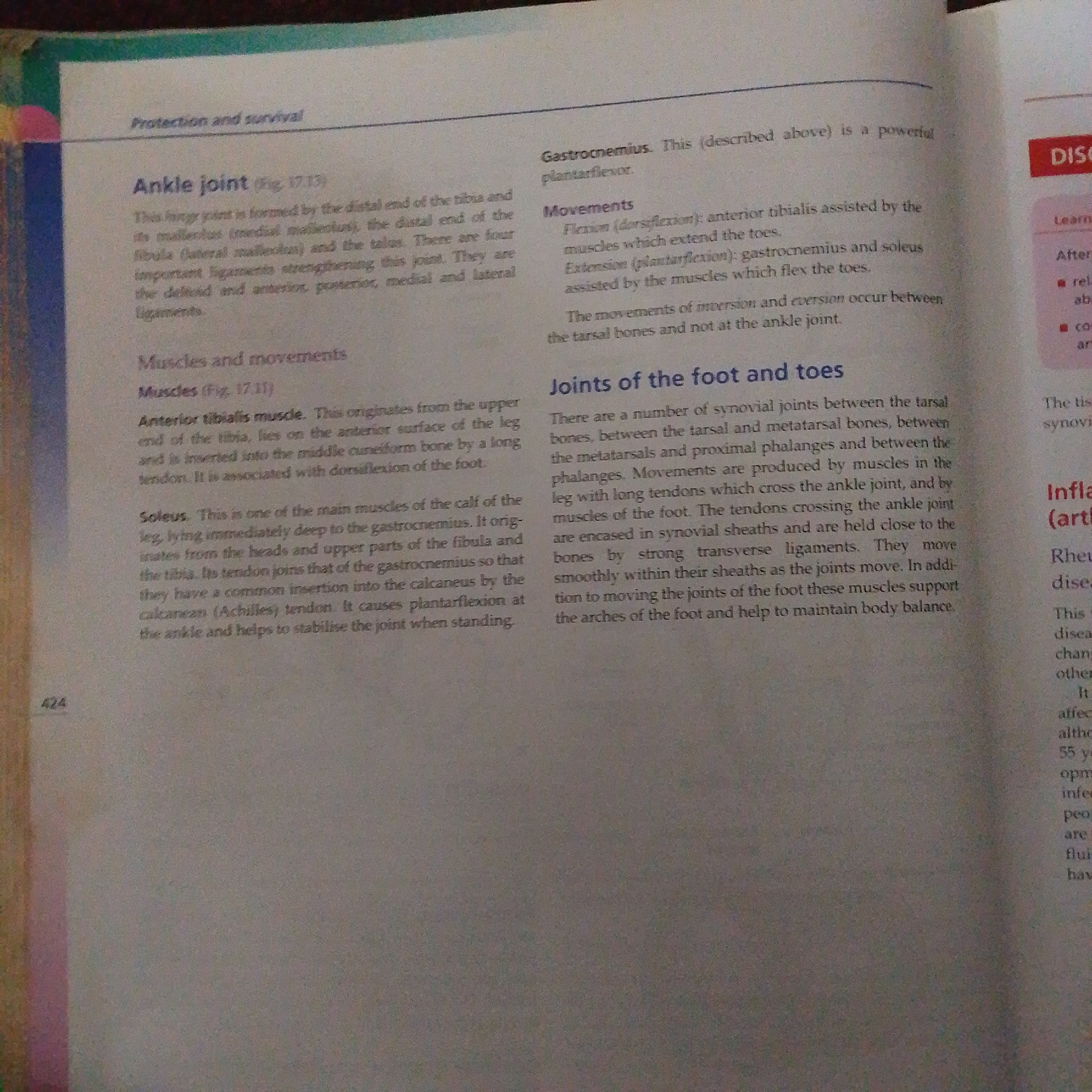 The image is a close-up, slightly angled shot of an open textbook, displaying text and headings related to anatomy, specifically focusing on the ankle joint, muscles, and joints of the foot and toes. The book is placed on a surface, and there is a pink and yellow marker on the left edge of the page. The text is printed in English, with headings like "Protection and survival," "Ankle joint," "Muscles and movements," and "Joints of the foot and toes." The page number "424" is visible at the bottom left. On the right side of the page, there are some boxed text areas with headings such as "DISC" and "Learn." The image does not contain any information or visual cues related to the city of Jalingo, Nigeria.