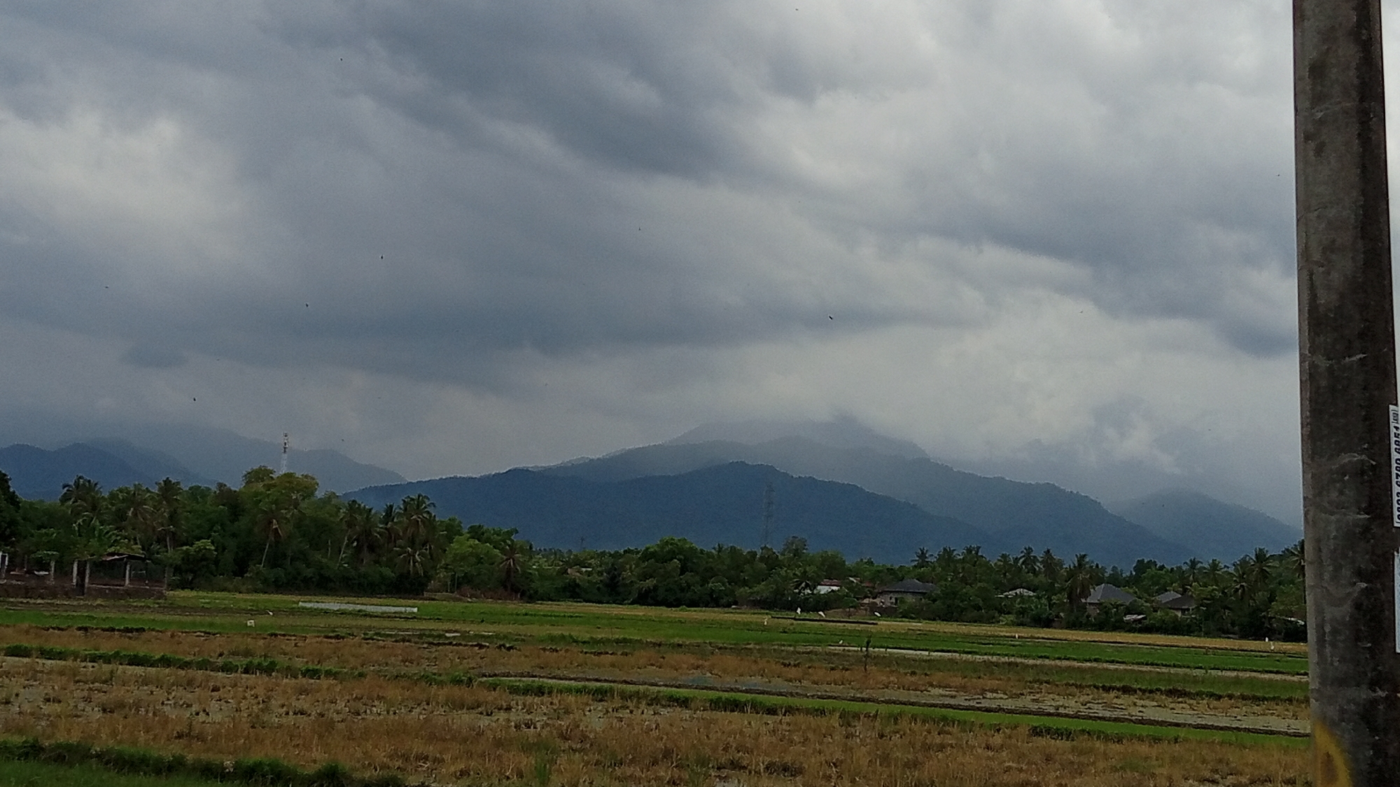 The image depicts a rural landscape in Baleulim, Indonesia, under a cloudy sky. In the foreground, there are rice fields, some harvested and dry, others green. A concrete utility pole stands on the right side of the frame, partially obscuring the view. Behind the fields, a dense line of trees, including palm trees, forms a transition to the background. Further back, low-lying houses with dark roofs are visible amidst the foliage. The distant background is dominated by a series of blue-tinged mountains, their peaks shrouded in mist and clouds. A single communication tower can be seen rising above the treeline in the mid-ground. The overall impression is one of a serene, agricultural setting before a looming mountain range.