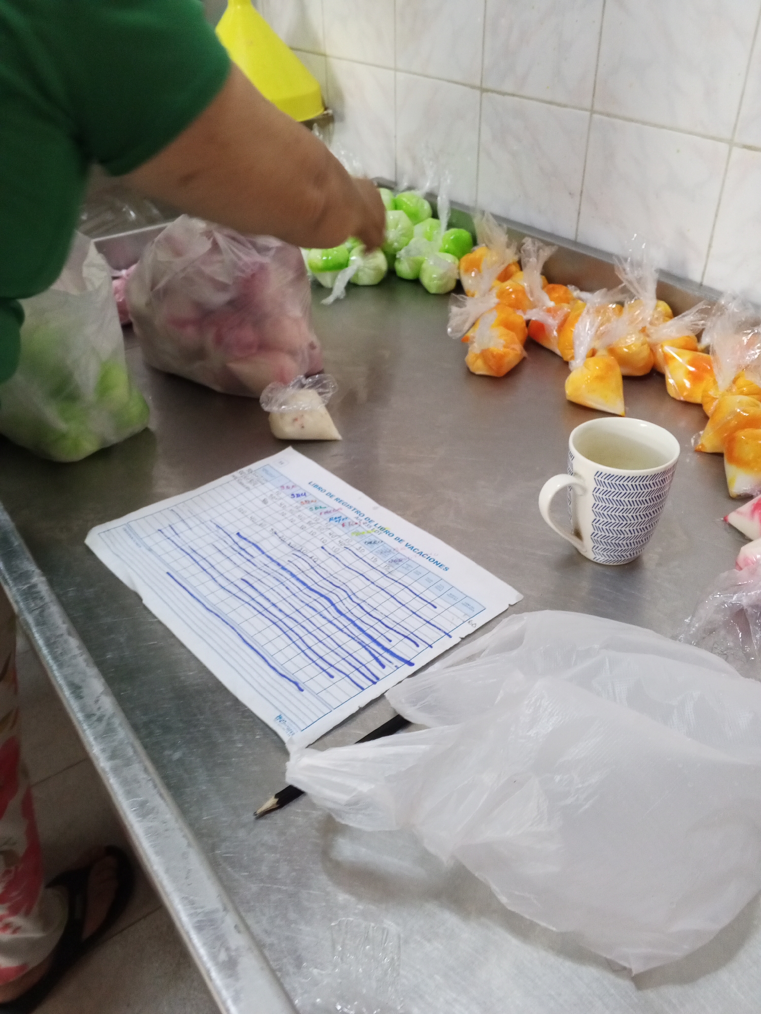 The image depicts a stainless steel counter, likely in a kitchen or food preparation area, filled with plastic bags containing various items. Some bags contain green items, while others hold orange or pink contents. A person in a green shirt is visible, seemingly handling the bagged items. A white mug with a blue chevron pattern rests on the counter near the orange bags. A document titled "LIBRO DE REGISTRO DE LIBRO DE VACACIONES" (Vacation Book Registration Book) with handwritten entries and blue lines is present, along with a pen. The text visible on the document suggests a record-keeping activity. The location is suggested by the text on the document, which might indicate that the scene is located in the city of Tinaquillo, Venezuela.