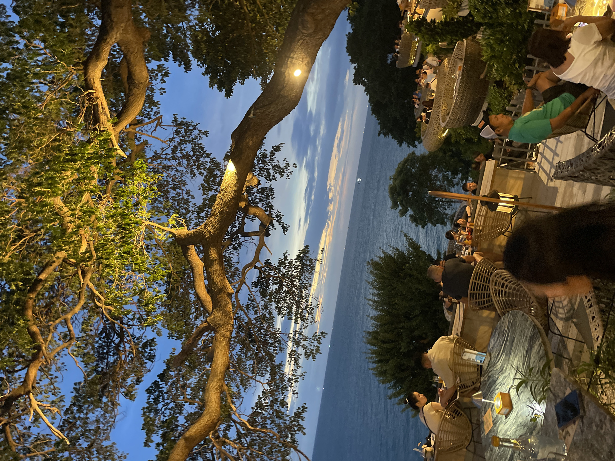 An outdoor restaurant at dusk overlooks the ocean in Pattaya City, Thailand. Large trees with illuminated branches frame the scene. Several tables are occupied by patrons, some seated in woven chairs. The ocean stretches out towards a horizon with a cloudy sky. The atmosphere is relaxed and casual.