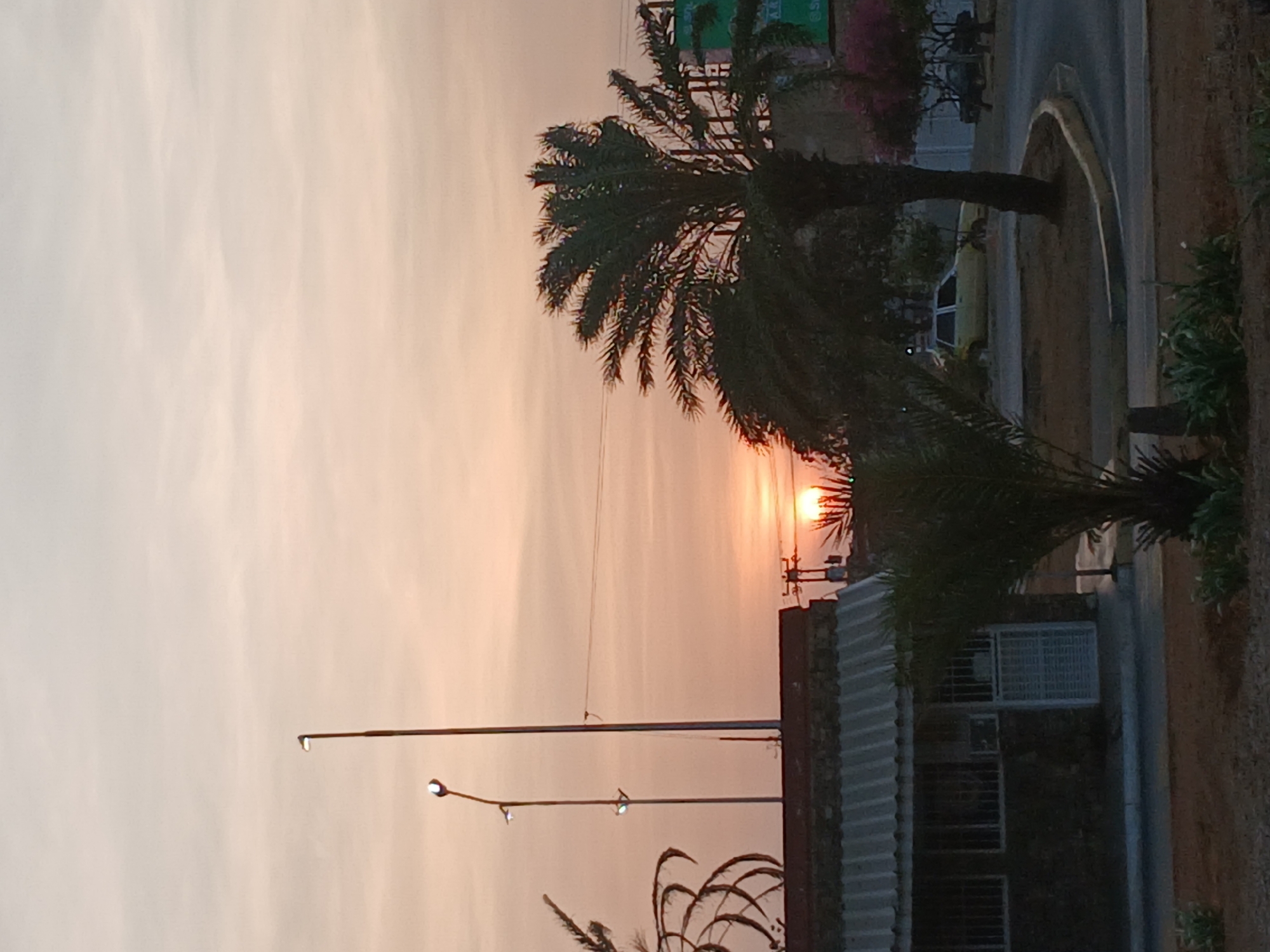 Here is a description of the image:
The image shows a sunset scene in Juan Griego, Venezuela. The sky is a pale orange color, with the sun partially obscured by palm trees. A street lamp is visible in the foreground. There is a building with a grey corrugated metal roof, a white window frame, and a brick wall. A street and sidewalk run along the edge of the building. Vegetation is also visible along the street.