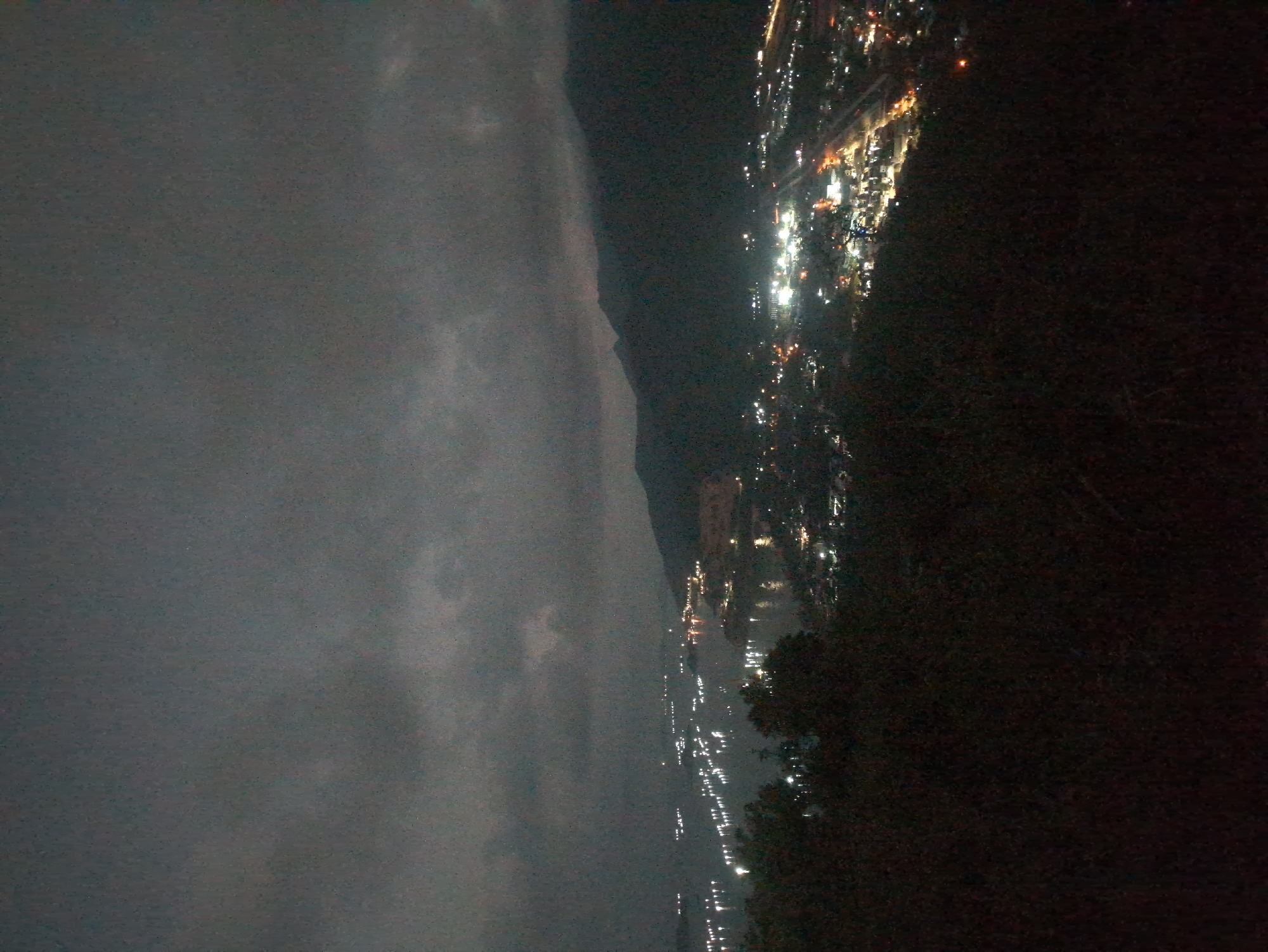 This is an elevated nocturnal photograph depicting the coastal urban area of South Quy Nhon Ward, Vietnam. The upper third of the image shows a dark, overcast sky with indistinct cloud formations. The lower foreground is occupied by dark, undifferentiated vegetation. The midground reveals an expansive urban settlement characterized by a multitude of artificial lights, primarily white and yellow, outlining buildings, roads, and infrastructure. A distinct brighter concentration of lights is present in the central-right midground. To the left, a large body of water displays scattered light reflections and distinct illuminated points, indicative of maritime vessels or coastal installations. The background to the right features dark, mountainous terrain, silhouetted against the low ambient light. No human figures or specific dynamic actions are discernible within the frame.