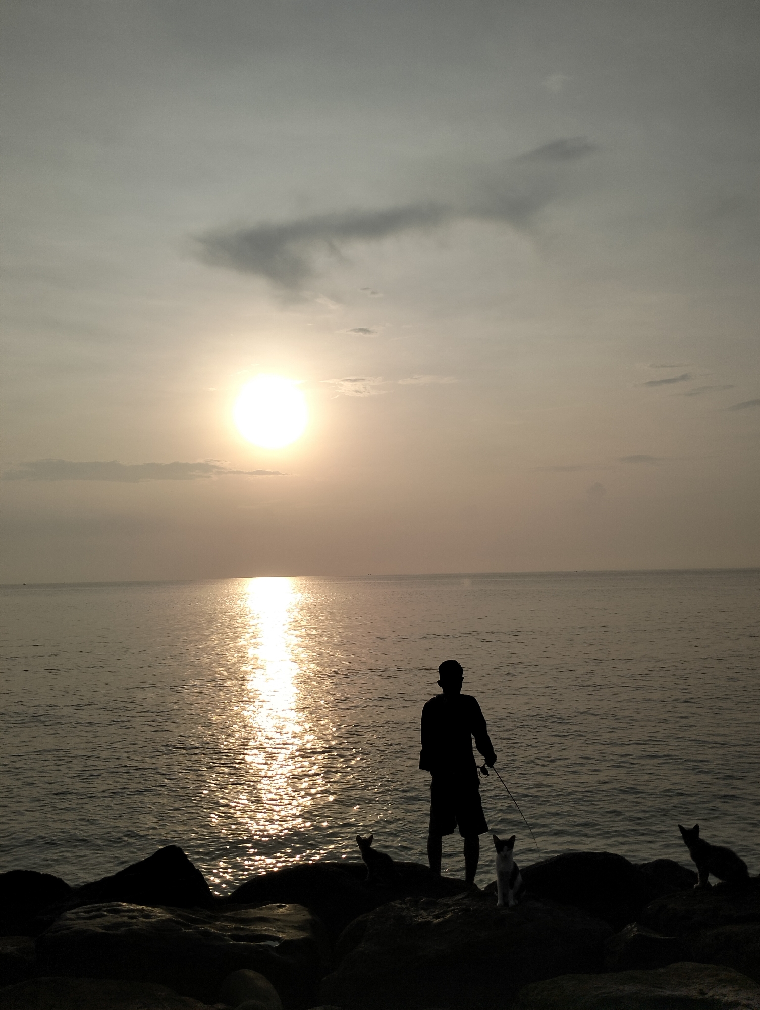 The image depicts a serene coastal scene at sunset in Lhokseumawe, Indonesia. The bright, radiant sun is positioned low in the sky, reflecting a dazzling path of light across the tranquil sea. The sky is hazy and softly lit, with faint clouds adding to the atmospheric glow.
In the foreground, a male figure stands silhouetted against the bright expanse of the water and sky, positioned on dark, rugged rocks. He is seen from behind, holding what appears to be a long, thin stick or a simple fishing rod, suggesting an activity of fishing or simply observing the view.
Accompanying the man are at least two cats. One cat, with distinctive white and dark fur patterns, is seated on a rock between the man and the water, looking towards the sea. Another cat is visible as a dark silhouette on a rock to the far right of the frame. A third, very faint dark shape among the rocks near the man's left foot might also be a cat, though it is largely obscured.
The overall impression is one of peaceful contemplation and solitude amidst the natural beauty of the sunset. The foreground elements are in deep shadow, emphasizing the brilliant light reflecting off the water. The weather appears calm, and there is no visible text within the image.