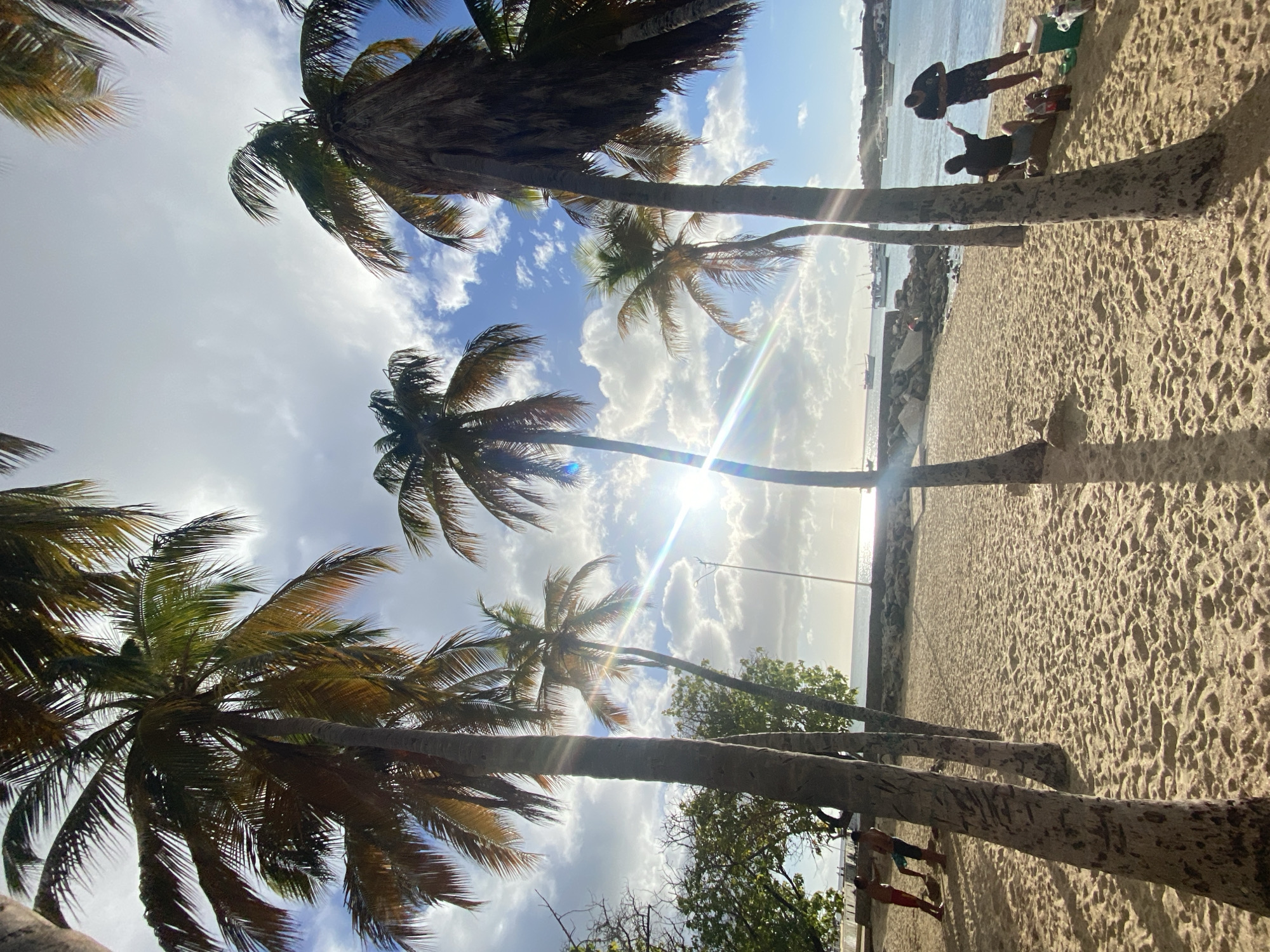 The image shows a beach scene in Juan Griego, Venezuela, under a bright, sunny sky with scattered clouds. The perspective is from the ground looking upwards through several palm trees that line the beach.
The sand is a light beige color with textured patterns. The ocean meets the sky on the horizon, with a visible landmass in the distance. Sunlight glares directly into the camera, creating a lens flare effect.
People are visible on the beach, though they are small and somewhat obscured due to the distance and angle. Their activities are unclear.
The overall environment suggests a tropical, sunny day at the beach in Juan Griego.