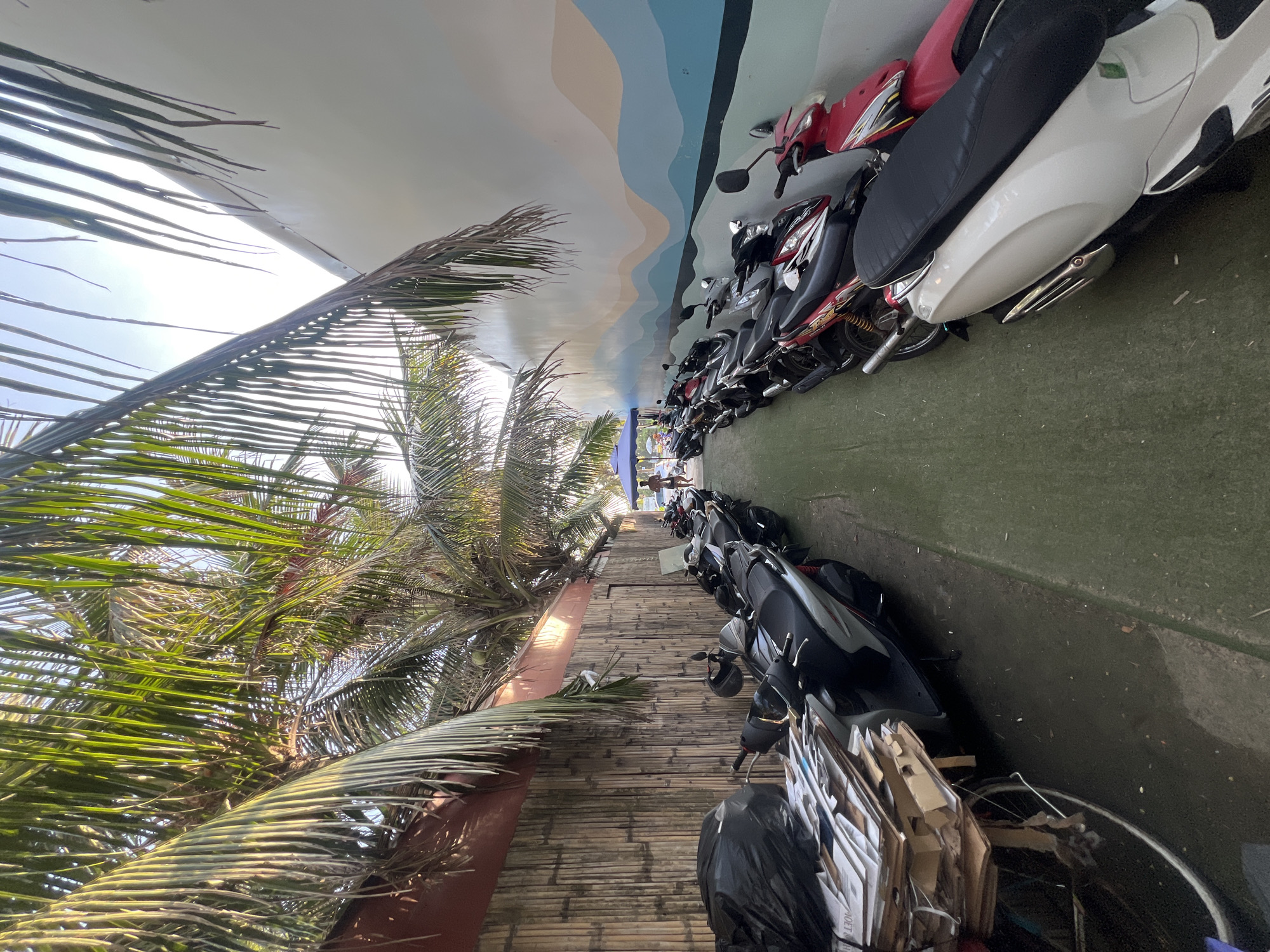 The image depicts an outdoor scene in Đà Nẵng, Vietnam, likely during the day. In the foreground, a large palm tree with vibrant green fronds dominates the left side of the frame, its leaves reaching towards the bright sky. The scene is characterized by a long row of parked motorbikes, primarily scooters, lined up along a green, paved surface.
The motorbikes are a mix of colors, including red, white, and black, with some appearing to be older models. Some have helmets attached to the handlebars. Behind the motorbikes, a wall features a colorful mural with abstract wavy lines in shades of blue, tan, and light brown, suggesting a beach or coastal theme, which aligns with the location context. To the left of the motorbikes, a raised walkway constructed from bamboo poles is visible, with some debris and a black plastic bag on it. Further down the row of motorbikes, a blue umbrella and a few indistinct figures of people can be seen, hinting at a public area or perhaps a marketplace.
The lighting suggests it is daytime, with bright sunlight illuminating the scene and casting shadows. The overall impression is one of a typical street scene in a warm climate, possibly a parking area for a beach or a local business. No specific event is clearly depicted, but the organized parking of the motorbikes indicates regular use. There is no visible text in the image.