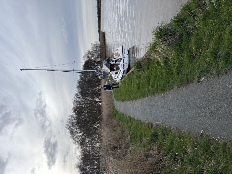 The image displays a daytime outdoor scene featuring a single individual standing on the bank of a calm, brownish-grey waterway, likely within the North Norfolk Broads area of the United Kingdom, characterized by its flat landscape, reed beds, and water bodies. The sky is overcast with uniform grey clouds.
A white sailboat, named "Misty Blue" on its stern, is moored alongside the grassy bank. It features blue stripes on its hull, a tall mast without sails deployed, and a grey cover draped over its boom. Yellow lines are visible on the deck. The individual, an adult, is dressed in dark trousers, a light top, and a dark sleeveless vest, with sunglasses worn on their head or face. They stand on the grass directly adjacent to the sailboat, facing partially towards the camera.
To the left of the individual and parallel to the water's edge runs a grey gravel path. The bank between the path and the water consists of short green grass and some clumps of darker green vegetation. Beyond the path, a dense expanse of tall, dry, light-brown reeds lines the left side of the scene. In the middle ground, a line of bare deciduous trees stretches horizontally across the frame. Further across the water, additional reed beds and a distant, indistinct building are visible on the opposing bank.