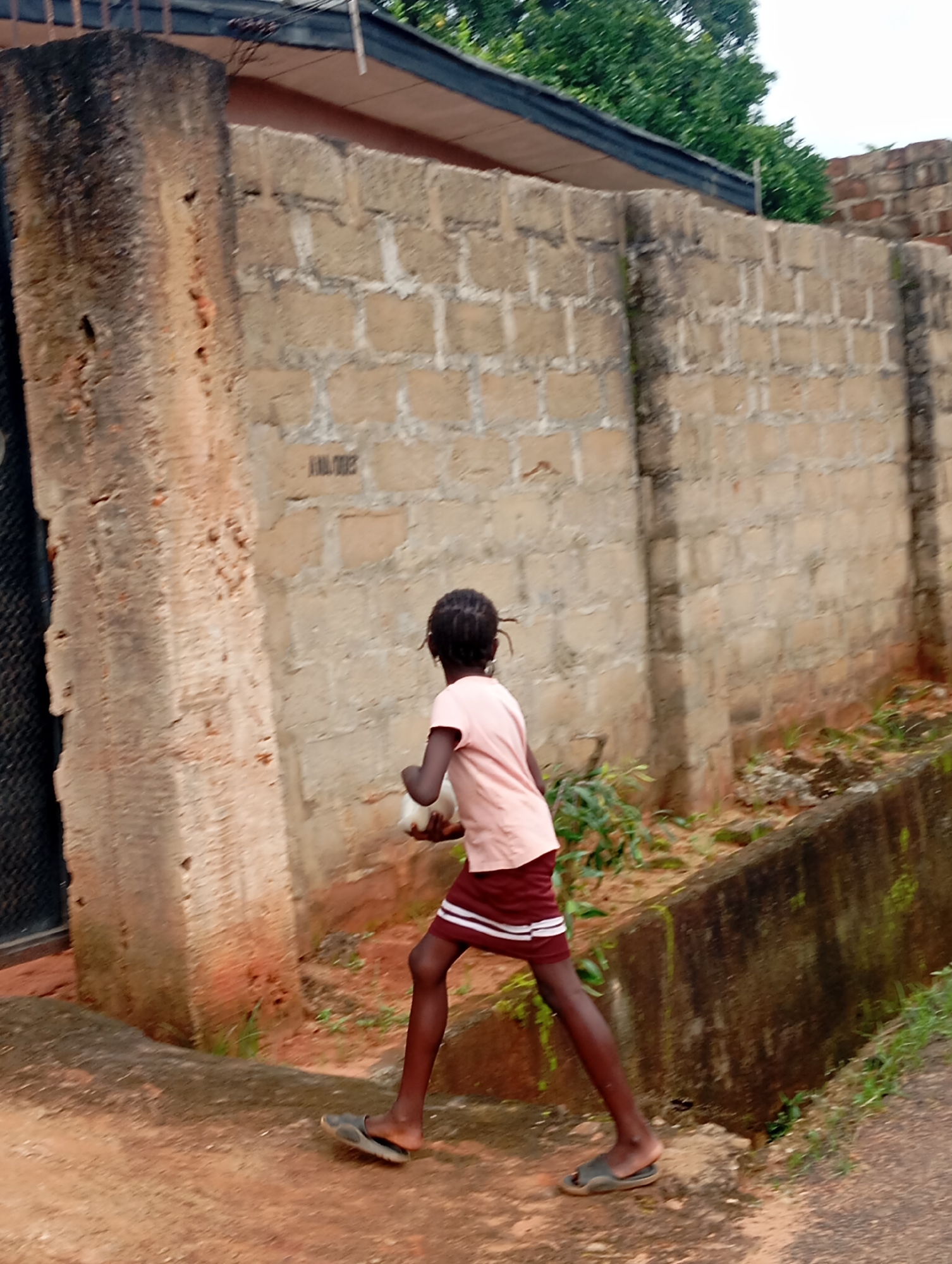 In Nsugbe, Nigeria, a young person with braided hair walks along a dirt path. They are wearing a pale pink t-shirt and dark red shorts with white stripes. The individual is carrying a white object, possibly a ball or a bundle, in their right arm. The scene is bordered by a concrete wall constructed from beige cinder blocks and a weathered, textured concrete pillar. Green foliage grows in patches along the base of the wall. The ground is predominantly reddish-brown earth. A dark, textured surface, possibly a gate or door, is visible on the far left.