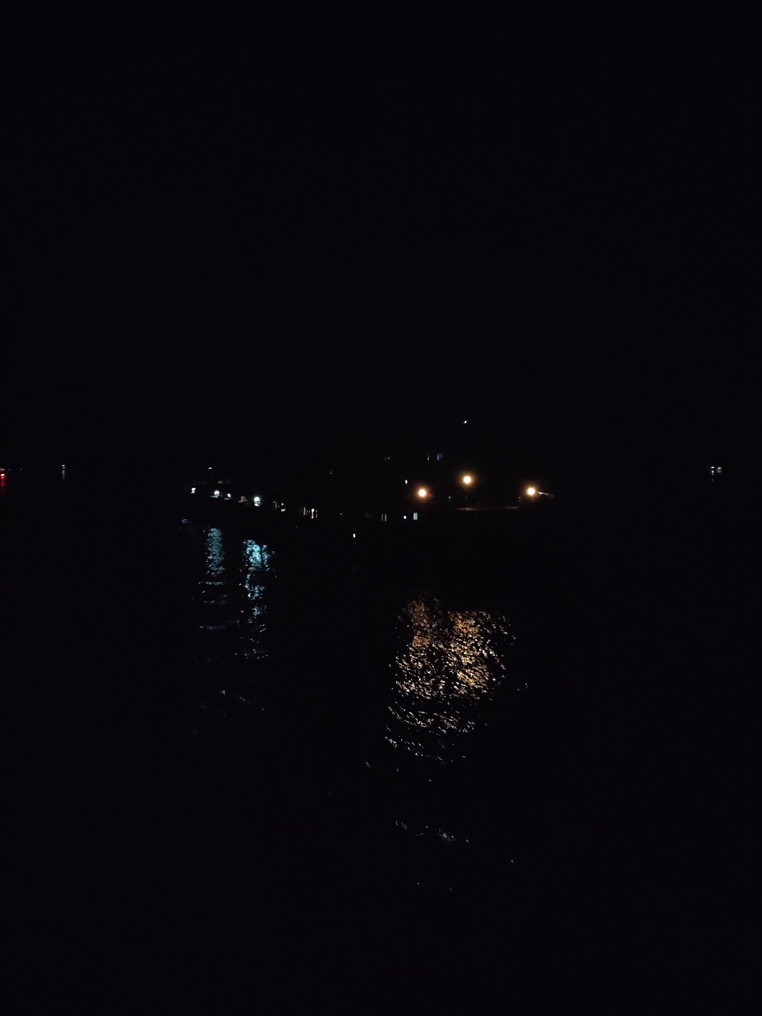 The image depicts a dark, nocturnal scene over a body of water in Pruzhinino, Russia. The vast majority of the frame is deep black, indicating the absence of natural light.
The primary subjects are the water and the reflections of artificial lights on its surface. Distant lights are faintly visible in the background, appearing as small, scattered points. On the left side of the frame, cool-toned lights (blues and whites) are reflected on the water, creating elongated, shimmering patterns. Towards the center-right, warmer, golden-orange lights are reflected, producing a textured, almost liquid-gold appearance on the water's surface. The reflections show subtle ripples and movement in the water. The faint points of light in the distance suggest structures, buildings, or perhaps boats along a distant shore or on the water itself.
No specific activity or event is captured; the image presents a still, contemplative night landscape. The time of day is clearly night. No specific weather conditions are discernible beyond the apparent calm, though the rippled reflections suggest minor water movement. The scene evokes a sense of peace, mystery, or solitude due to the prevailing darkness and scattered light. There is no visible text within the image.
