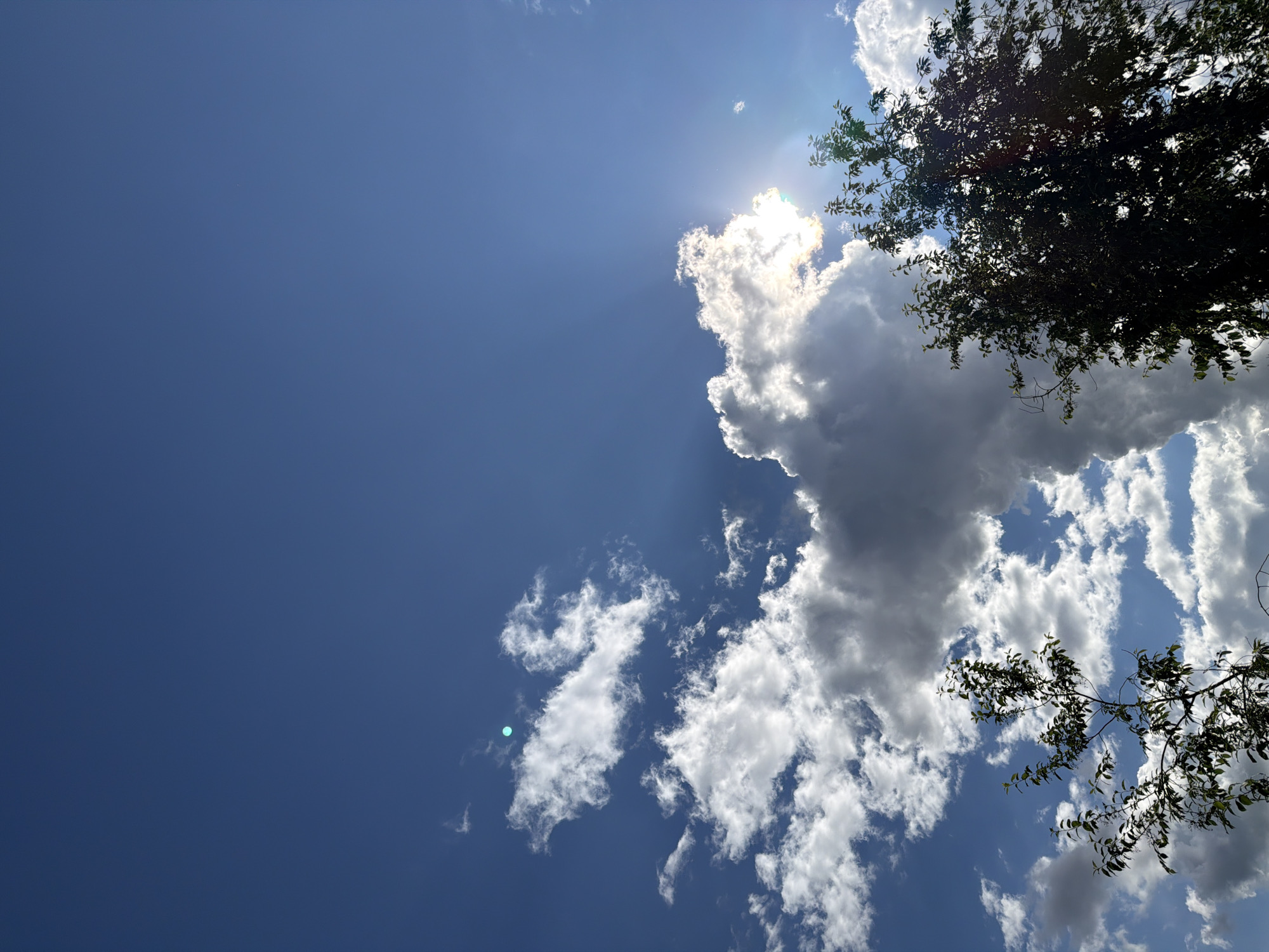 The image shows a sky view, likely taken during the day. The sky is predominantly blue with scattered white and grey clouds. The sun is partially obscured by a large, bright cloud, causing a glare. Branches and leaves from trees are visible in the top right and bottom right corners, suggesting the photo was taken from under or near a tree. It's unclear if the location is specifically Ol'khovo, Russia, as the image doesn't contain any definitive landmarks or elements to confirm the specific location. No people are visible in the image.