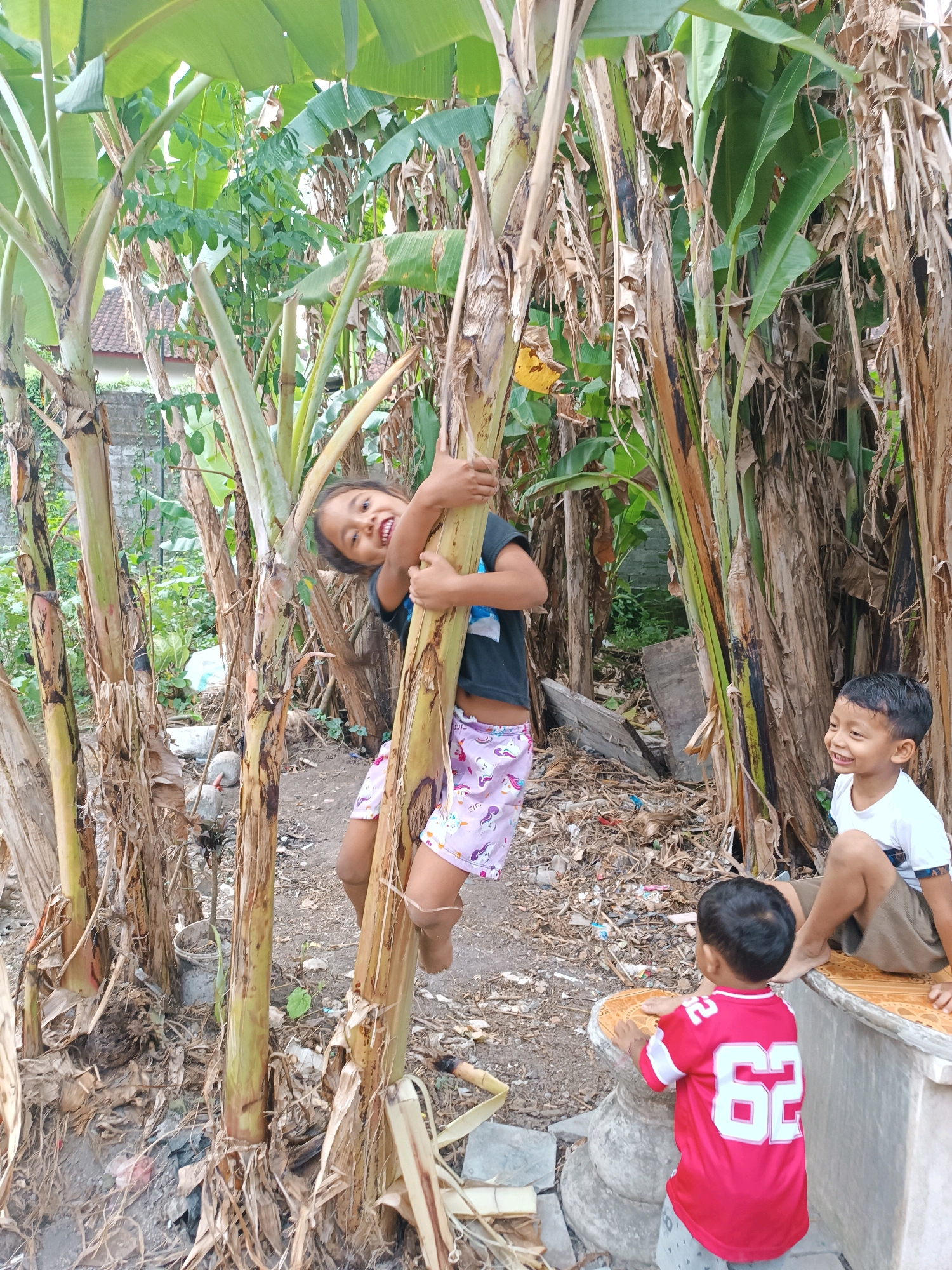 In Tabanan, Indonesia, a young girl with dark hair smiles as she climbs a banana tree, her arms wrapped around its trunk. She wears a dark t-shirt and patterned shorts. To her right, a boy in a white t-shirt and brown shorts sits on a concrete ledge, also smiling. In the foreground, another young boy, facing away from the camera, wears a red shirt with the number "62" on the back. The children are in an outdoor area surrounded by numerous banana trees with large green leaves and dried fronds. The ground is covered with dirt, debris, and dried leaves. A concrete structure, possibly a bench or wall, is visible.