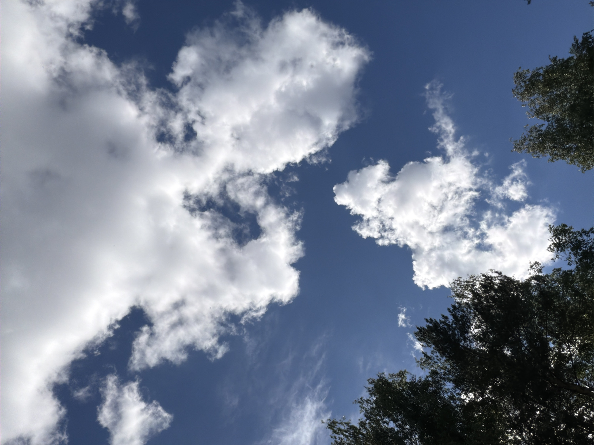 The image is a low-angle shot of a blue sky with cumulus clouds. The clouds are predominantly white with some areas of gray shading. In the lower right and upper right portions of the image, tree branches with green leaves are visible, suggesting the presence of trees surrounding the viewpoint. The sky appears partially clear with wispy cirrus clouds. There are no visible people, subjects, objects or actions beyond the natural elements. The location is not identifiable as Chaikovsky, Russia from the image.