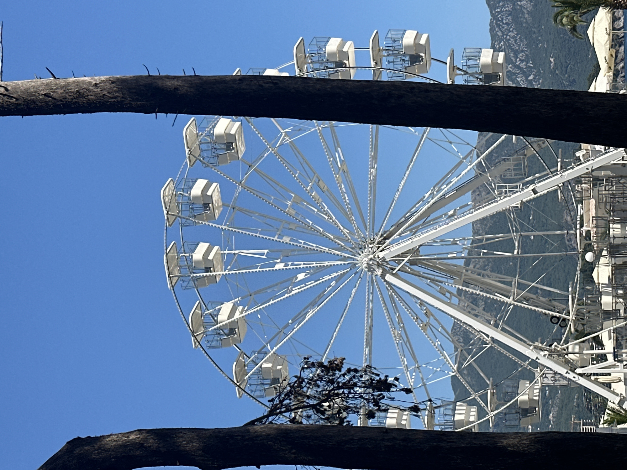 A tall, white Ferris wheel stands against a clear blue sky, partially obscured by the dark trunks of two trees in the foreground. The Ferris wheel has numerous white gondolas with glass windows. In the background, a lush green mountain range is visible. Below the Ferris wheel, there are buildings and some white umbrellas, suggesting a resort or amusement area. This scene is likely located in Budva, Montenegro, known for its coastal attractions and Ferris wheels. There are no people or animals visible in the image.