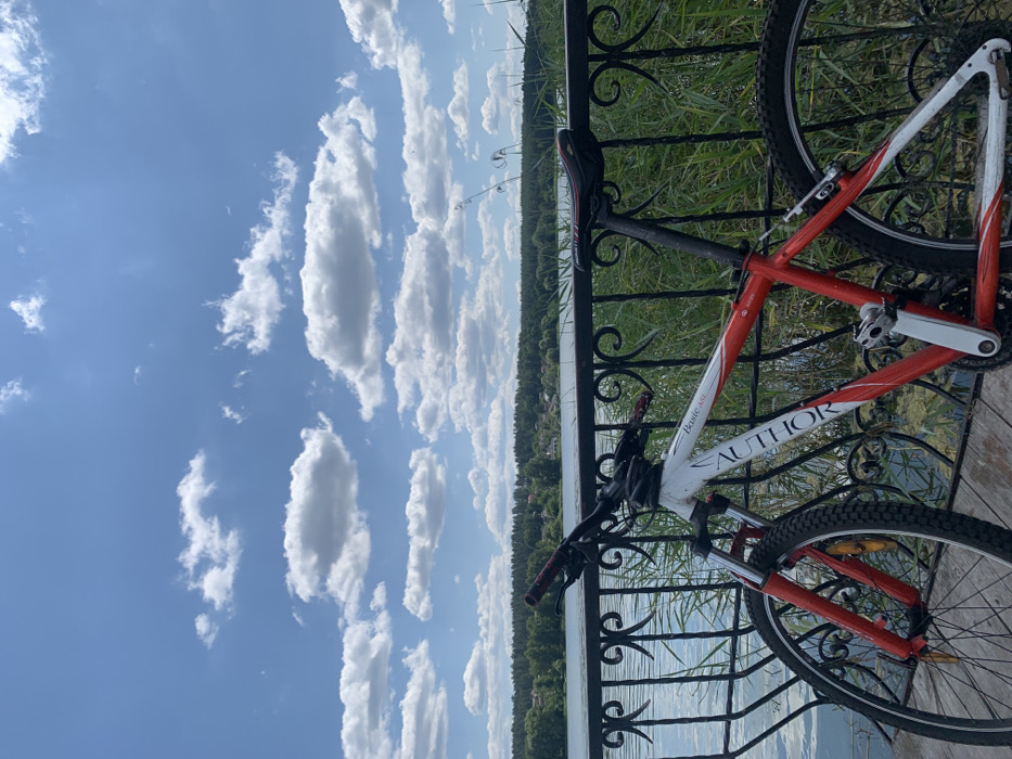 The image depicts an outdoor scene in Mykhailivka-Rubezhivka, Ukraine, along the bank of a body of water. A white and red Author Basic ASL mountain bicycle is positioned in the foreground, parked on a light brown wooden plank surface. The bicycle's front wheel is turned slightly to the left, and it leans against a black wrought-iron fence featuring decorative scrollwork.
To the immediate right of the fence, a dense collection of tall, slender green reeds or rushes is visible, extending into the water. Beyond the fence, a wide expanse of calm water occupies the midground, exhibiting minor surface ripples and reflecting the blue sky. On the distant horizon, a prominent treeline composed of dark green deciduous trees stretches across the frame, with several light-colored structures or houses visible within or at the edge of the tree cover, indicating a distant settlement. The sky above is clear and bright blue, populated by numerous scattered, fluffy white cumulus clouds. No individuals are present, and no active interactions are observed within the frame. The scene is illuminated by natural light, consistent with daytime conditions.