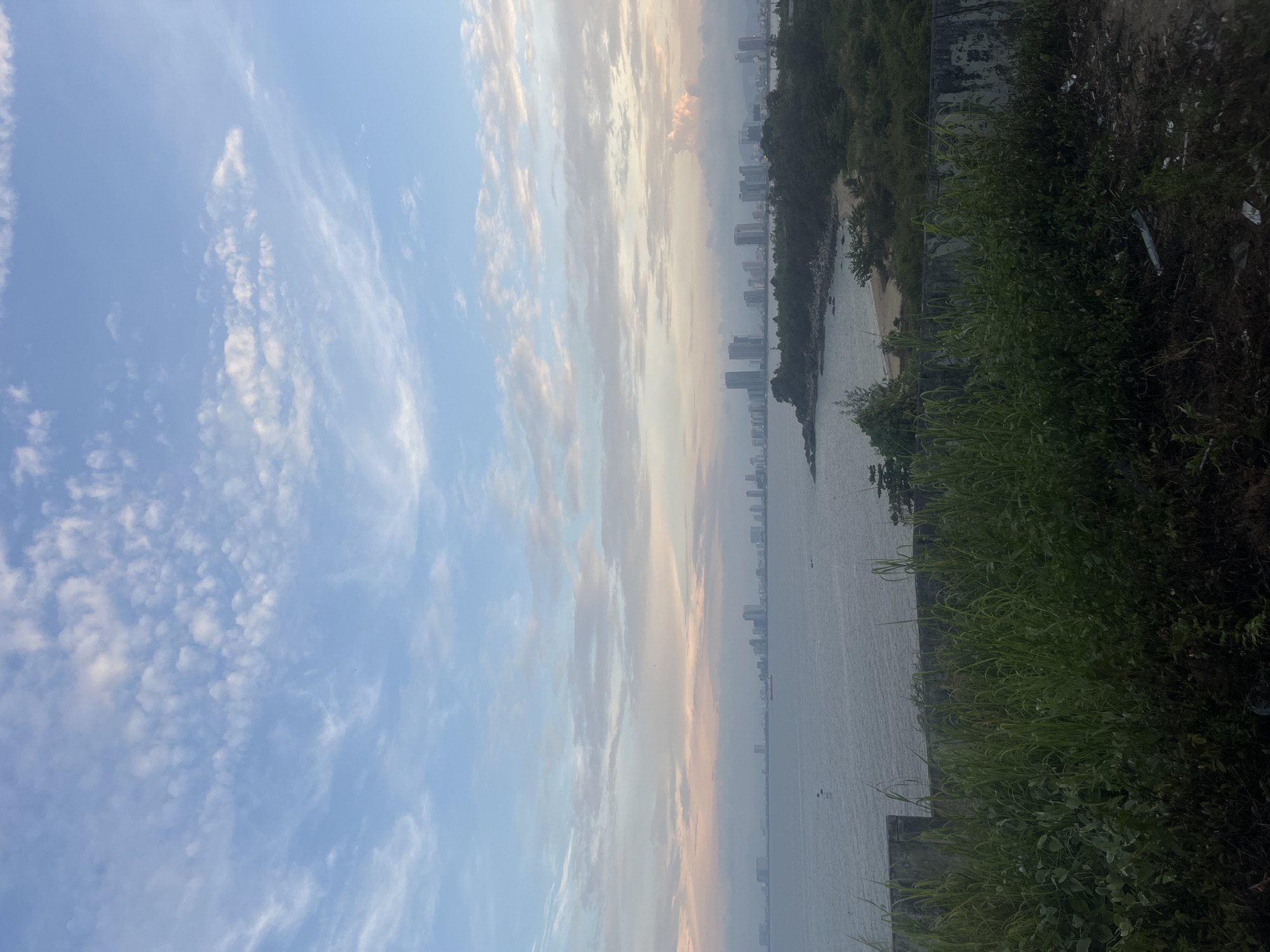 This image depicts a panoramic view of the coastline of Da Nang, Vietnam, likely taken at dawn or dusk given the soft lighting and pastel hues in the sky. In the foreground, a concrete barrier topped with tall, green grass and foliage suggests an elevated vantage point. Beyond the barrier, a calm sea stretches towards a distant city skyline. The cityscape is characterized by numerous modern buildings, including high-rises, clustered along the coast. Patches of trees and greenery dot the shoreline between the sea and the city. The sky is a soft blue with streaks of white and pink clouds, indicating either the early morning or late evening. Small boats are visible on the water, and the overall atmosphere is serene and expansive. The image captures the blend of natural coastal beauty with urban development.