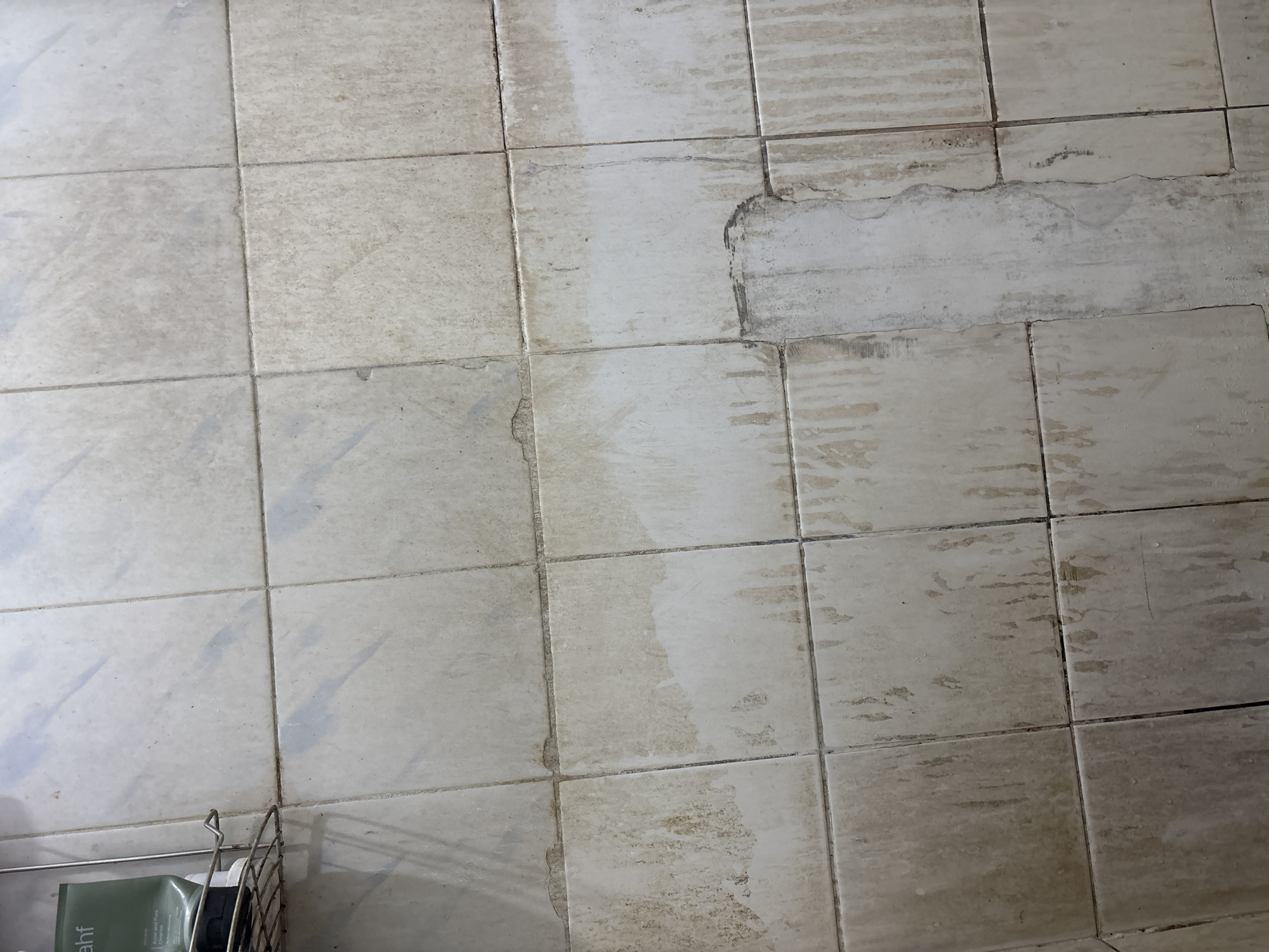 The image depicts a close-up, top-down view of a dirty tiled floor, likely in a bathroom or shower area. The tiles are a light, neutral color and appear to be square, with visible grout lines. There is significant staining and discoloration on the tiles, suggesting a lack of cleaning or exposure to water and soap residue. Some areas show water streaks and a rough, patchy appearance, particularly in the lower half of the frame, where some of the grout or tile surface seems damaged or worn.
In the upper left corner, a metal shower caddy is partially visible, holding a green tube of product. This item is the only distinct object in the scene besides the tiles. The lighting is diffused, creating soft shadows and highlighting the texture and dirt on the floor. The overall impression is one of neglect and disrepair.
This scene is not specific to Palimanan, Indonesia, as there are no identifiable landmarks or contextual clues to place it in that specific city. The image is a generic depiction of a dirty tiled floor.