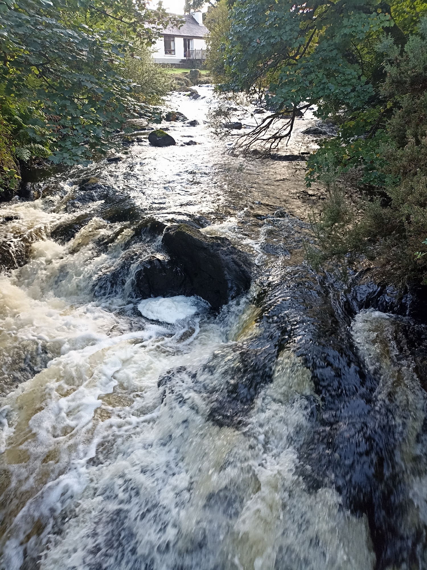 A cascading river flows through a wooded area in Oughterard, Ireland. The water is turbulent, with white foam churning around dark rocks. Sunlight glints off the water's surface, creating a dappled effect. Lush green trees with dense foliage line the banks of the river, with some branches extending over the water. In the background, a white building with a dark roof and windows is visible, situated on a grassy embankment above the river. A small balcony with a railing is attached to the building. The scene suggests a natural, somewhat untamed environment adjacent to a residential structure.