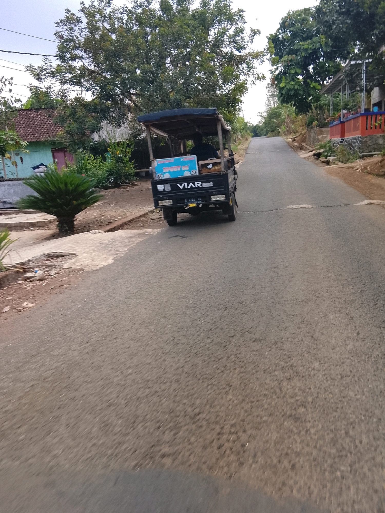 This image shows a three-wheeled vehicle, identified as a "VIAR" by its branding, traveling on a paved road in what appears to be a rural or suburban area of Banjar, Indonesia. The vehicle has a dark-colored canopy over its passenger and cargo area, and a blue and white sign with text is visible on the side. A driver is seated in the vehicle. The road is asphalt with some cracks and patches, and it slopes uphill into the distance. On the left side of the road, there is a house with a light blue wall and a brown tiled roof, surrounded by greenery and a palm-like plant in the foreground. On the right side of the road, there are houses with visible walls, railings, and potted plants. Lush trees and vegetation are abundant throughout the scene, suggesting a tropical or subtropical climate. The sky is overcast. The overall impression is a daytime scene of everyday life in a residential area of Banjar.