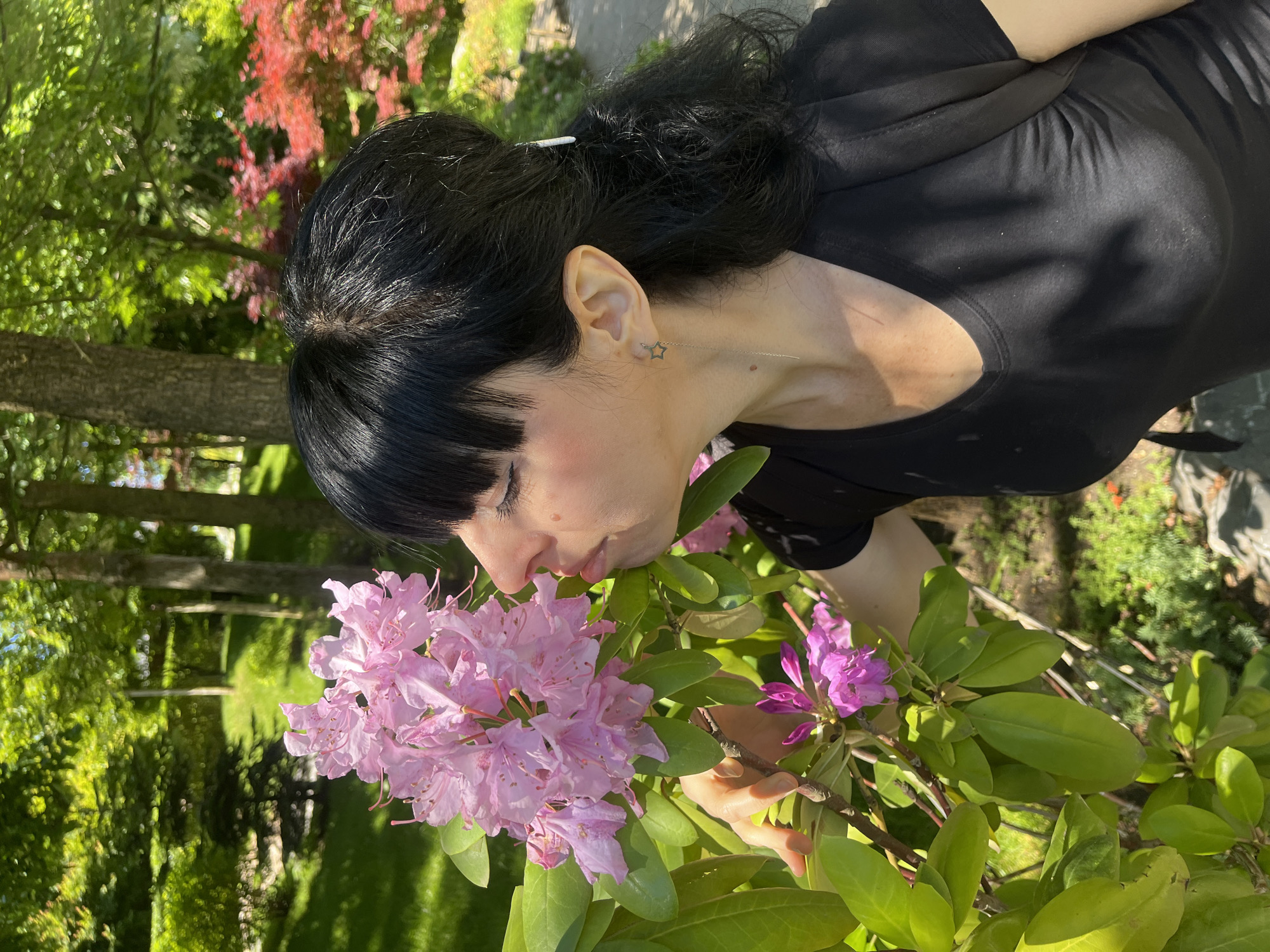 A woman with dark hair, styled in a ponytail or bun and featuring bangs, is depicted outdoors in a garden or park in Krasnodar, Russia. She is wearing a plain black short-sleeved top. Her right ear is adorned with a distinctive star-shaped threader earring, and a white hair clip is visible in her hair. A small mole is present on her neck.
The central activity shows the woman leaning in closely to a cluster of large pink rhododendron flowers, appearing to smell them with her eyes gently closed or lowered, indicating focused sensory engagement. Her right hand is visible, subtly holding a branch near smaller purple flowers of the same plant.
The setting is bright and sunny, with clear lighting and visible shadows suggesting mid-day conditions. The background features lush green foliage from various trees and shrubs, with some trees displaying vibrant red leaves. The overall impression is a serene moment of appreciation for nature. No visible text is present in the image.