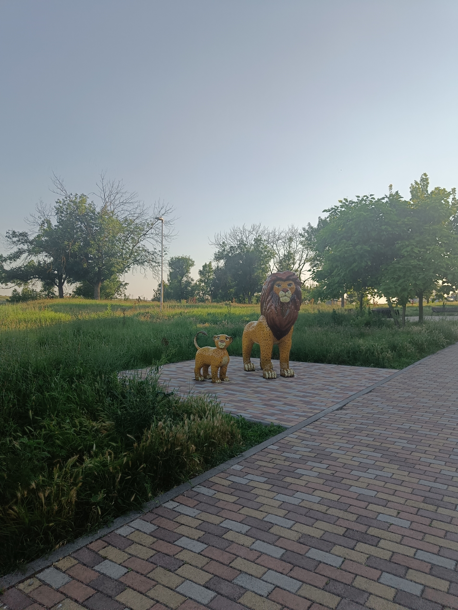 In the city of Aleksandrovskoye, Russia, two lion sculptures, an adult and a cub, stand on a paved pathway. The sculptures are made of a mosaic of small, golden-yellow pieces with dark brown accents for the mane, face, and claws. The adult lion is significantly larger than the cub, which is positioned to its left. Behind the sculptures, a vast expanse of green grass and vegetation stretches towards a line of trees under a clear, pale blue sky. A lamppost stands among the trees. The pathway is made of interlocking rectangular pavers in shades of brown, yellow, and gray. The scene appears to be an outdoor public space, possibly a park or a recreational area.