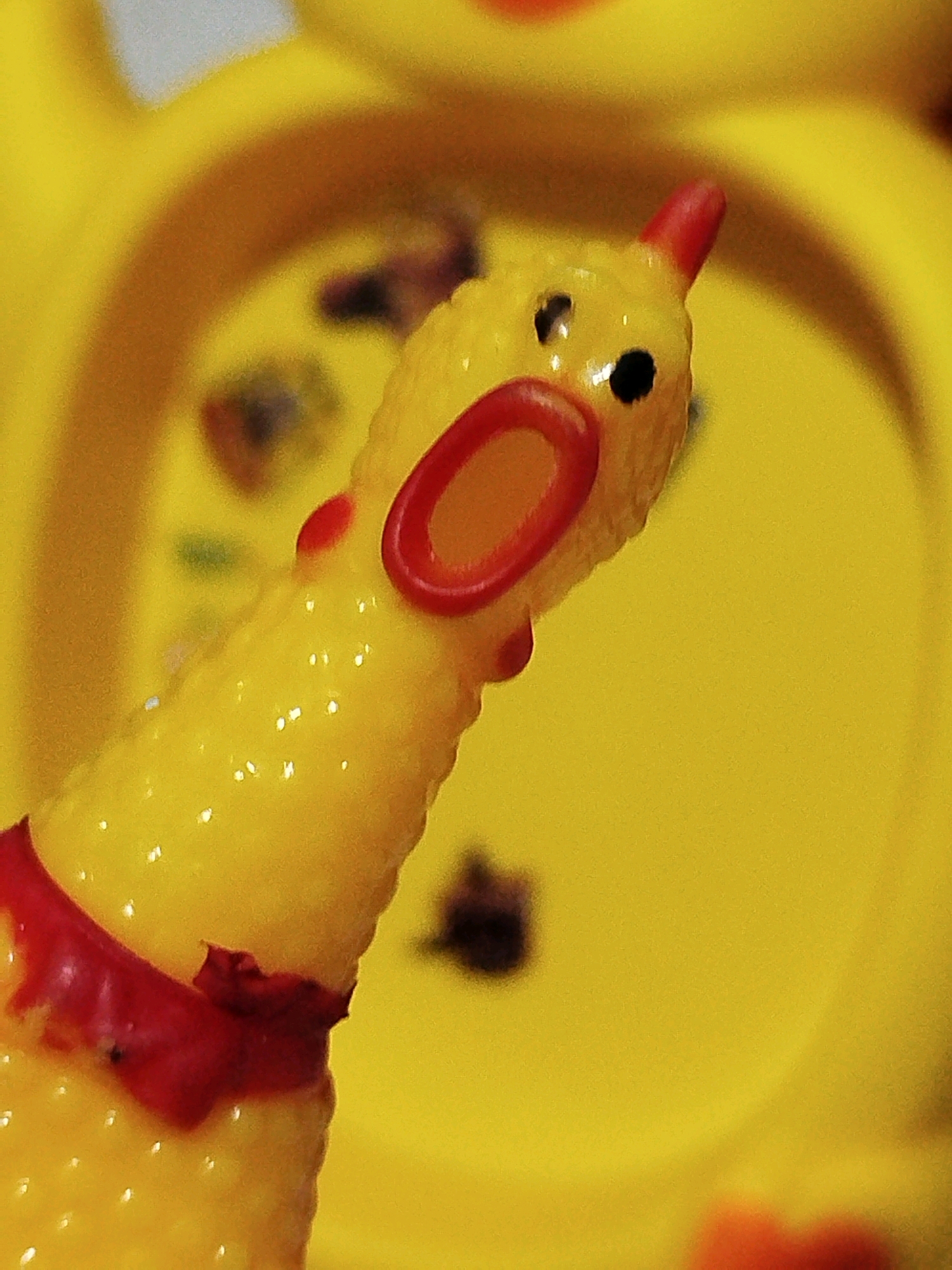 A close-up, shallow depth of field photograph shows a yellow squeaky rubber chicken toy with red accents. The chicken toy is positioned diagonally from the bottom left to the upper right of the frame. The toy has black dot eyes and a red beak with a red ring around its mouth opening, which is depicted as gaping open. A red band is around the lower neck area of the toy. The background is a blurred, bright yellow surface, possibly another toy or container. The image has a grainy texture. No specific location in Mojoagung, Indonesia, can be determined from the image.