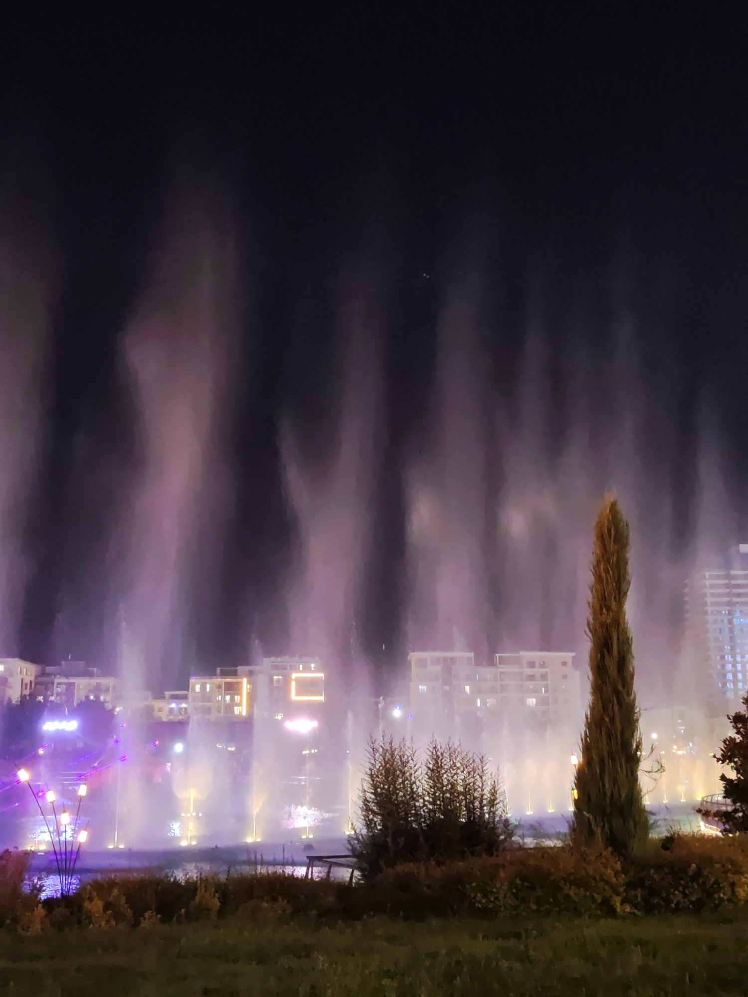 This is a nighttime photograph of a spectacular water and light show in Tashkent, Uzbekistan. The scene features a large fountain with plumes of water illuminated by vibrant purple and white lights, creating a dramatic effect against the dark sky. In the background, modern buildings with illuminated windows are visible, suggesting an urban setting. A tall, slender cypress tree stands prominently in the foreground on the right, its dark silhouette contrasting with the bright fountain. In the middle ground, there are bushes and some decorative lighting structures. The overall impression is one of a lively and visually engaging public space, likely a park or plaza.