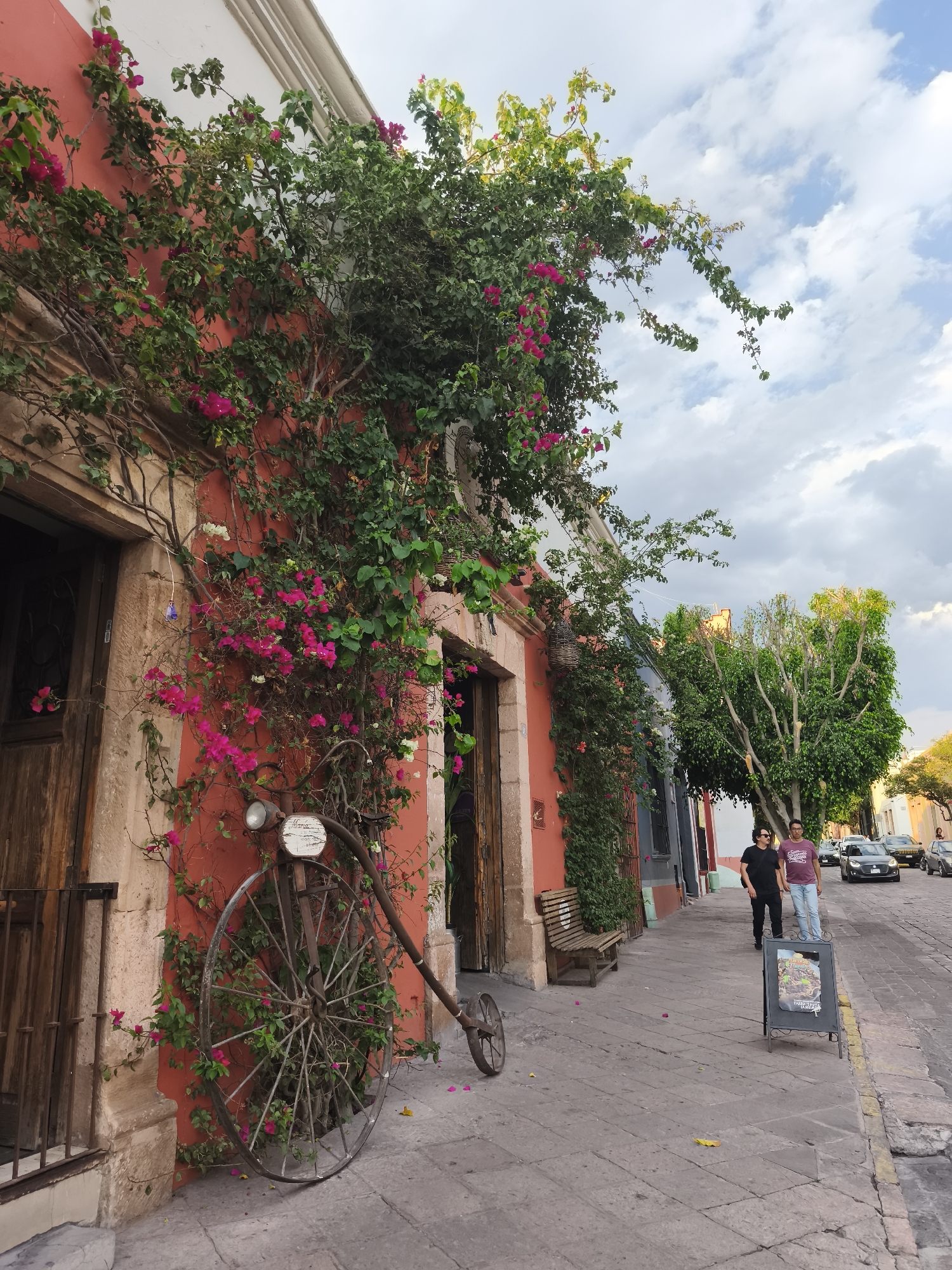 The image captures a street scene in the city of Querétaro, Mexico. The architecture is characterized by buildings with brightly colored facades, with a vivid red structure prominently featured on the left. This building is adorned with a large climbing plant featuring vibrant pink bougainvillea flowers. Leaning against the wall is a vintage high-wheel bicycle.
The sidewalk is paved with stone blocks. A wooden bench sits alongside the wall further down the street. Two men are walking on the sidewalk. One is wearing a black t-shirt and sunglasses, while the other is wearing a maroon t-shirt and light-colored jeans. A sandwich board advertising a business stands on the sidewalk in front of them.
The street beyond the sidewalk shows vehicular traffic, including cars of various makes and models parked along the side and driving down the street. Trees with thick green foliage are visible along the street. The sky is partly cloudy, with patches of blue peeking through.