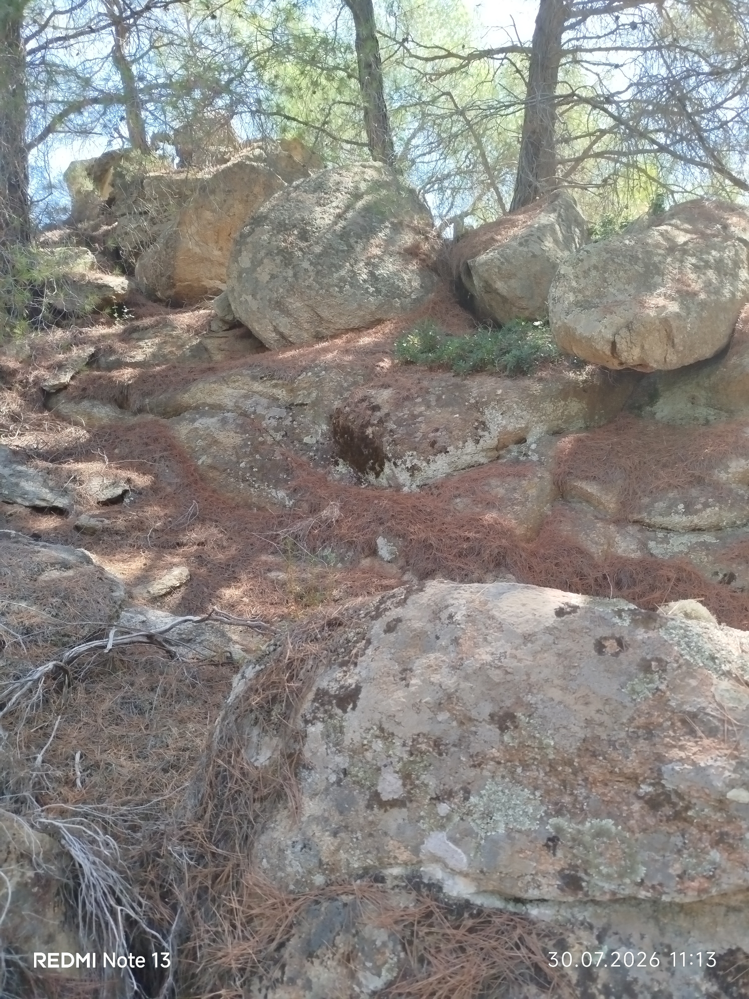 The image depicts a rocky, wooded slope in Sithonia Municipal Unit, Greece. The foreground is dominated by large, weathered boulders covered in lichen, interspersed with a thick layer of pine needles. Scattered dry branches and twigs lie on the ground. In the background, more boulders and trees are visible, with sunlight filtering through the branches. The sky is partly visible, appearing bright and possibly overcast or hazy. There are no people or animals present in the scene. The date and time stamp "30.07.2026 11:13" and "REDMI Note 13" are visible in the lower portion of the image.
