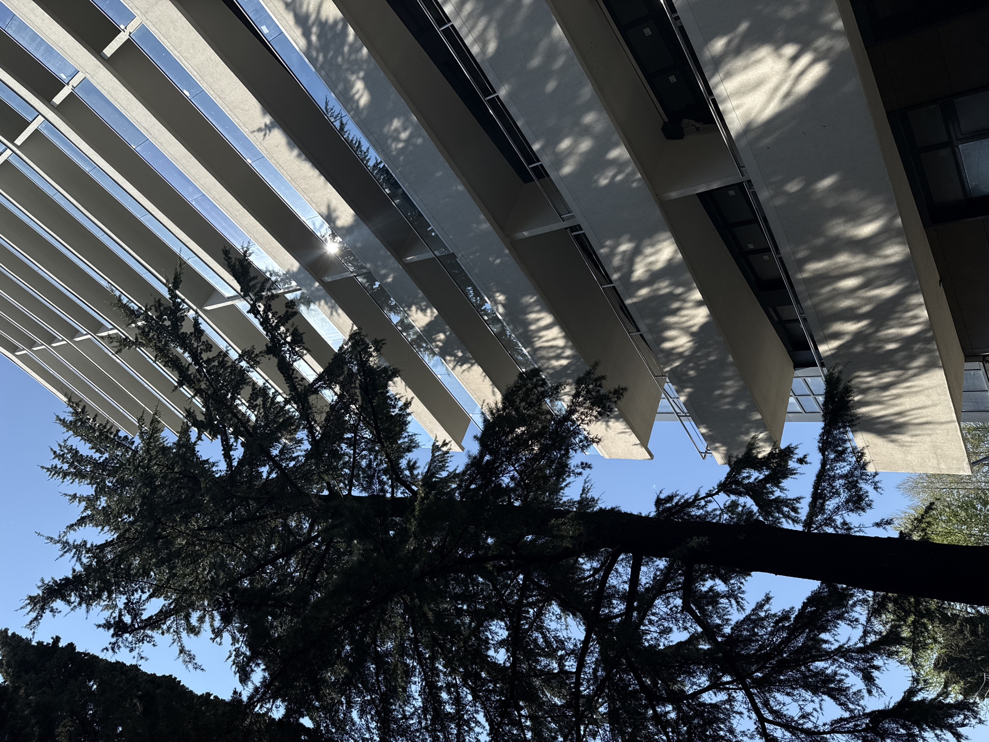 The image shows a view looking up through the branches of a tree toward a modern architectural structure. The structure consists of horizontal, rectangular panels that appear to be spaced to allow sunlight to filter through. The panels cast shadows with tree foliage patterns on the building's surfaces. The sky is visible between the panels. The tree is silhouetted against the sky and the building. The overall scene has a juxtaposition of natural and built environments. The location is not discernible from the image and cannot be identified as Sochi, Russia.
