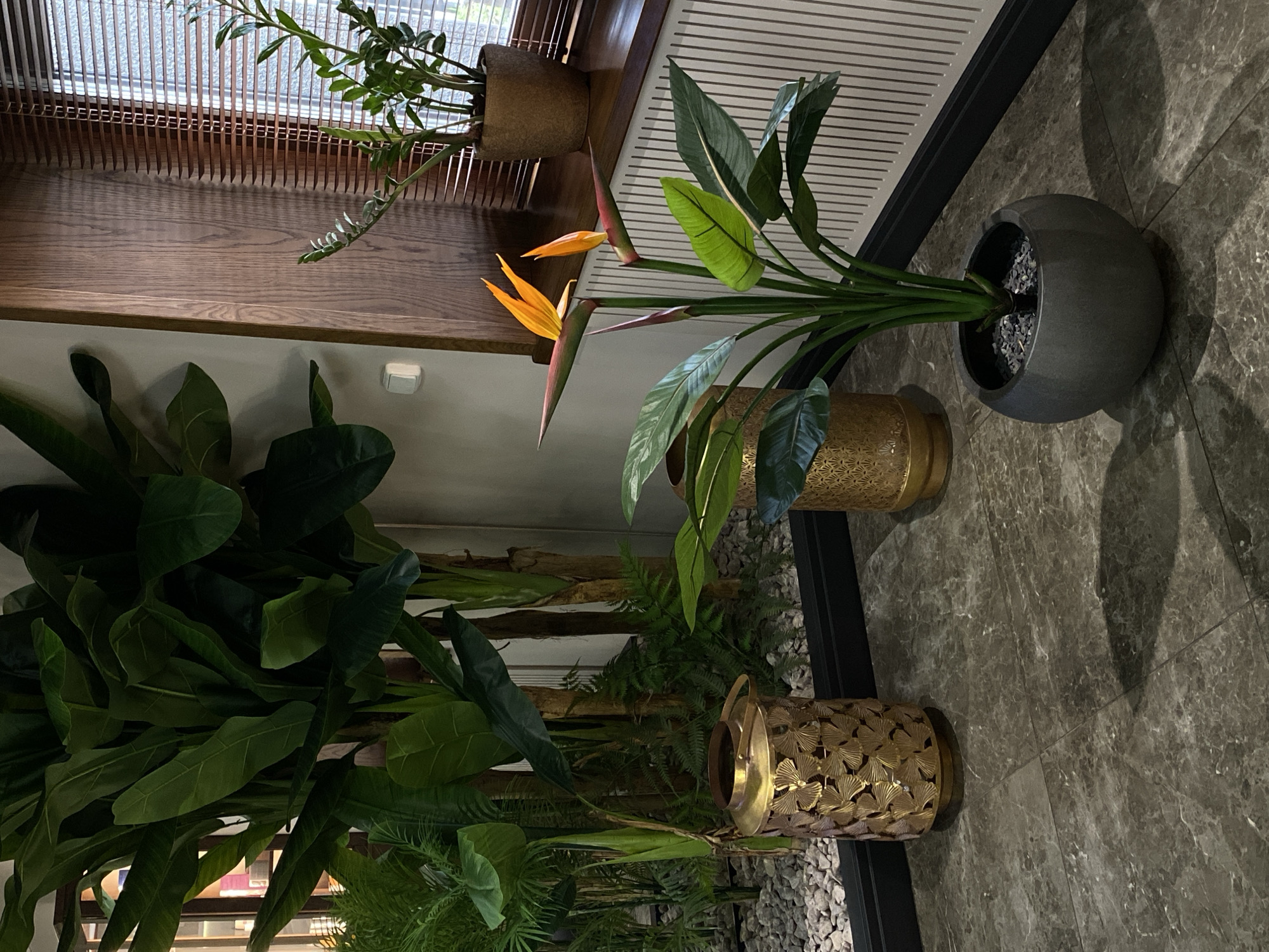 This media file captures an indoor scene in Votkinsk, Russia, showcasing a collection of potted plants within a modern setting. The image, oriented in portrait mode, features a mix of natural elements and decorative details.
In the upper section, a wooden window sill or shelf runs horizontally across the frame. On this shelf, a small green plant with slender leaves is housed in a simple brown pot. Behind the plant, a light-colored, vertically slatted structure, possibly a decorative radiator cover or an internal wooden blind, allows diffused light to enter.
Dominating the mid-ground on the right side is a vibrant Bird of Paradise plant (Strelitzia) in a dark grey, spherical pot. The plant displays its distinctive orange and bluish-purple flowers, alongside large, paddle-shaped green leaves. The pot rests on a dark grey, polished tiled floor that exhibits a subtle marble-like veining pattern. Shadows from the plants and pots are visible on this floor.
Towards the bottom right, two decorative, brass-colored planters or light fixtures stand on the tiled floor. These ornate items are adorned with a repeating, cut-out pattern resembling Ginkgo leaves. They are positioned near an area filled with small grey pebbles, where additional green foliage plants are visible. On the bottom left, a large, lush plant with broad green leaves, possibly a Fiddle-leaf Fig, is partially obscured by shadows, adding depth to the scene.
The overall ambiance is calm and natural, with no human activity taking place. The lighting suggests an indoor daytime setting, though some areas are dimly lit. There is no visible text in the image.