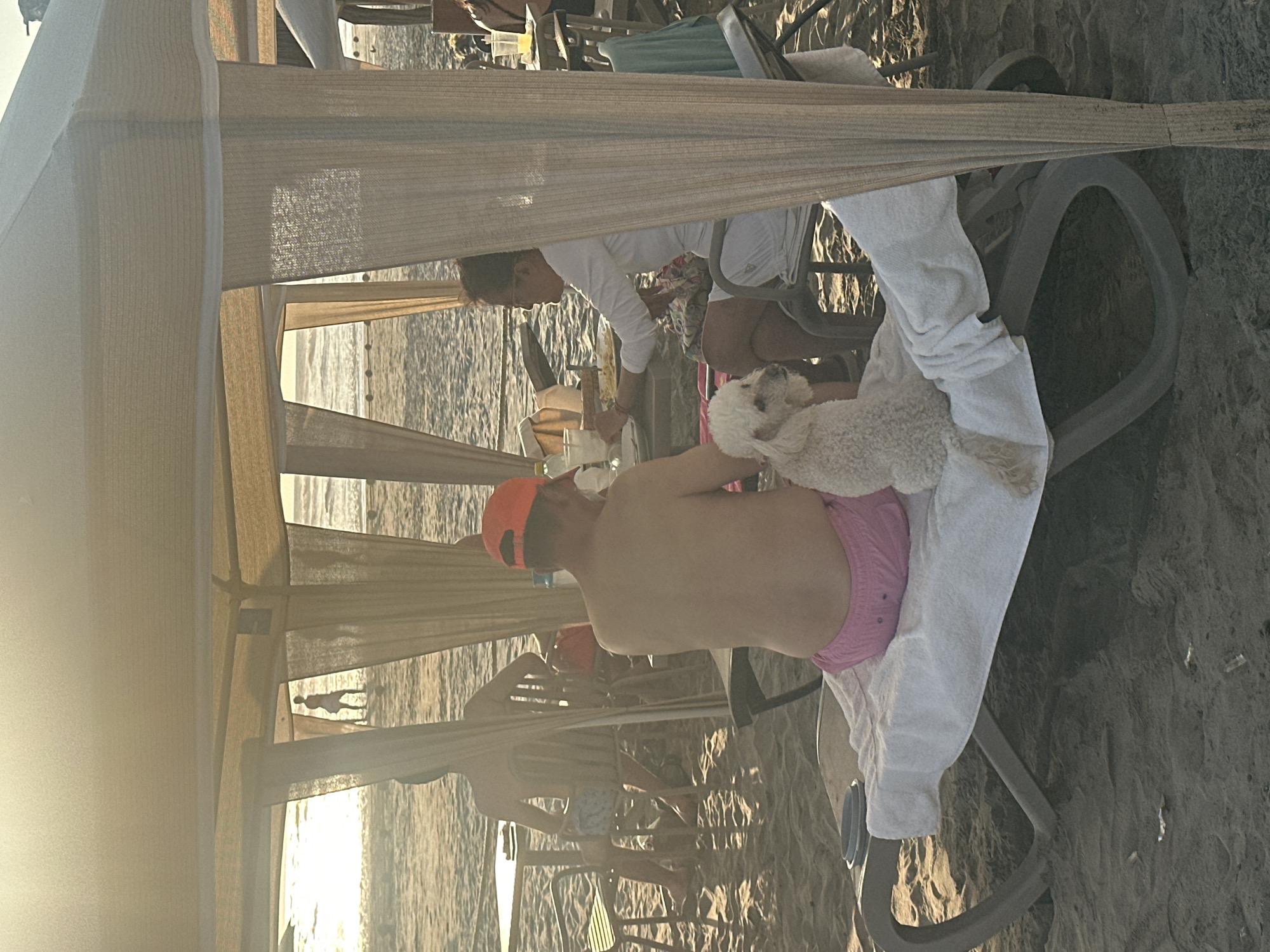 The photograph depicts a beach scene in Acapulco de Juárez, Mexico. A man wearing a pink swimsuit and an orange baseball cap sits in a beach chair, holding a white poodle. A woman is seated nearby, appearing to prepare drinks or snacks. Beachgoers are visible in the background, and the ocean is present. The scene is partially shaded by a light-colored awning.