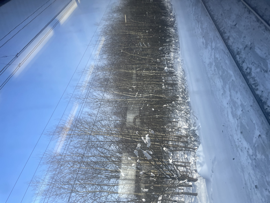 The image depicts a stark winter landscape viewed from an interior through a window, indicated by visible reflections, likely from a moving train or tram in Метрополитеновец Снт, Russia. The upper third of the frame features a clear, bright blue sky traversed horizontally by multiple parallel overhead power lines or catenary wires. Below the sky, a dense, leafless deciduous forest dominates the midground, composed primarily of slender trees with dark or pale trunks. The branches of these trees, particularly those closer to the viewpoint, are heavily laden with white snow, forming distinct, irregular accumulations. The foreground presents a thick, undisturbed layer of white snow covering the ground, which slopes gently downwards towards a single railway track or tram line. This track, partially obscured by snow and ice, runs parallel to the snow-covered embankment and tree line in the lower right portion of the frame. No human figures, animals, or specific actions are observable within the scene.