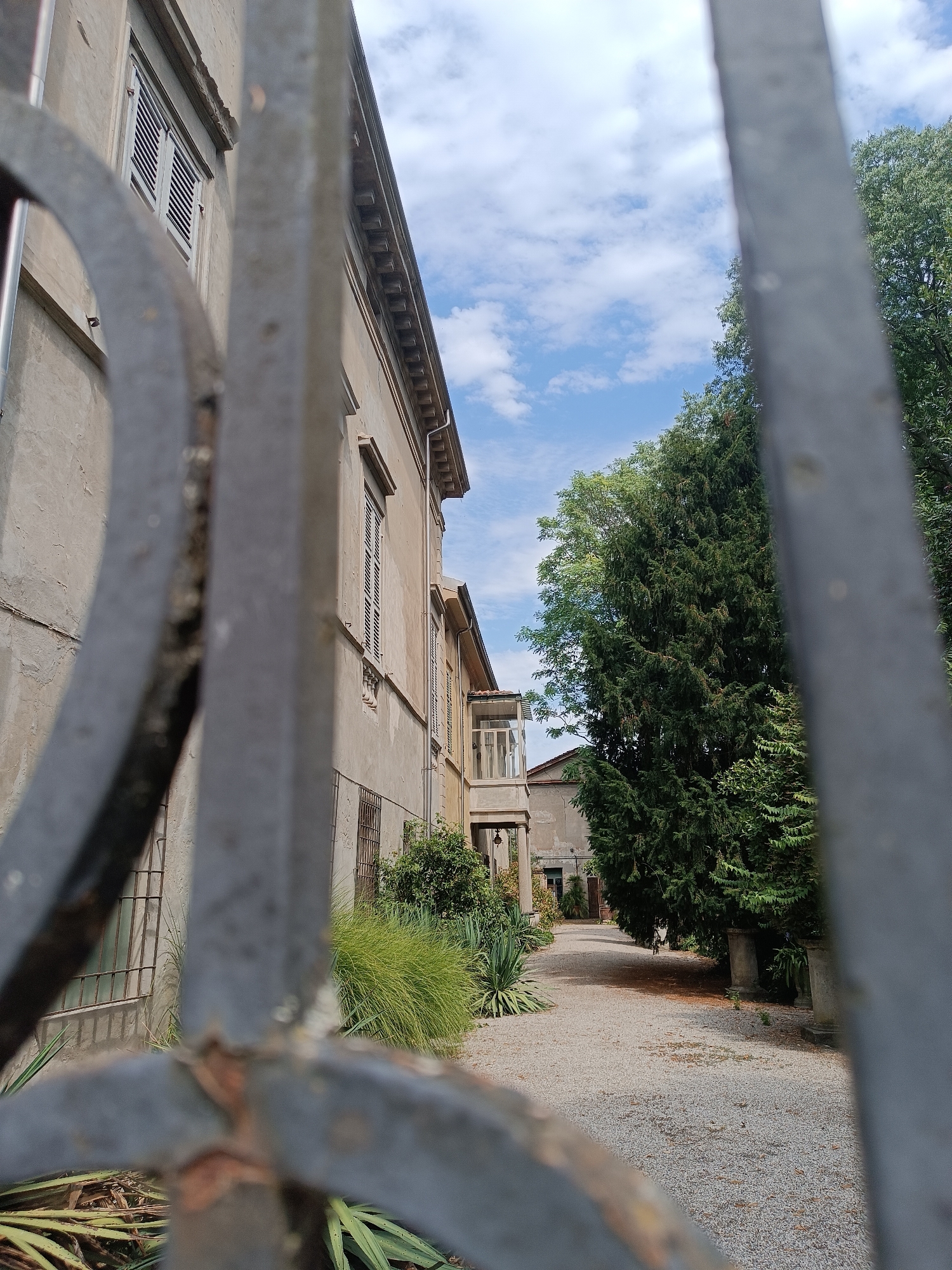 The image depicts a view through a metal fence towards a building and a pathway. The building is a light-colored, multi-story structure with shutters on the windows. Adjacent to the building is a tall, dense green tree. A gravel pathway leads away from the foreground, bordered by greenery on one side and the building and trees on the other. The sky above is blue with scattered clouds. There are no people visible in the image. The scene suggests an outdoor setting, possibly a residential property or a historic site, in Casalmaggiore, Italy. The perspective is low, focusing on the details of the building and the natural elements.