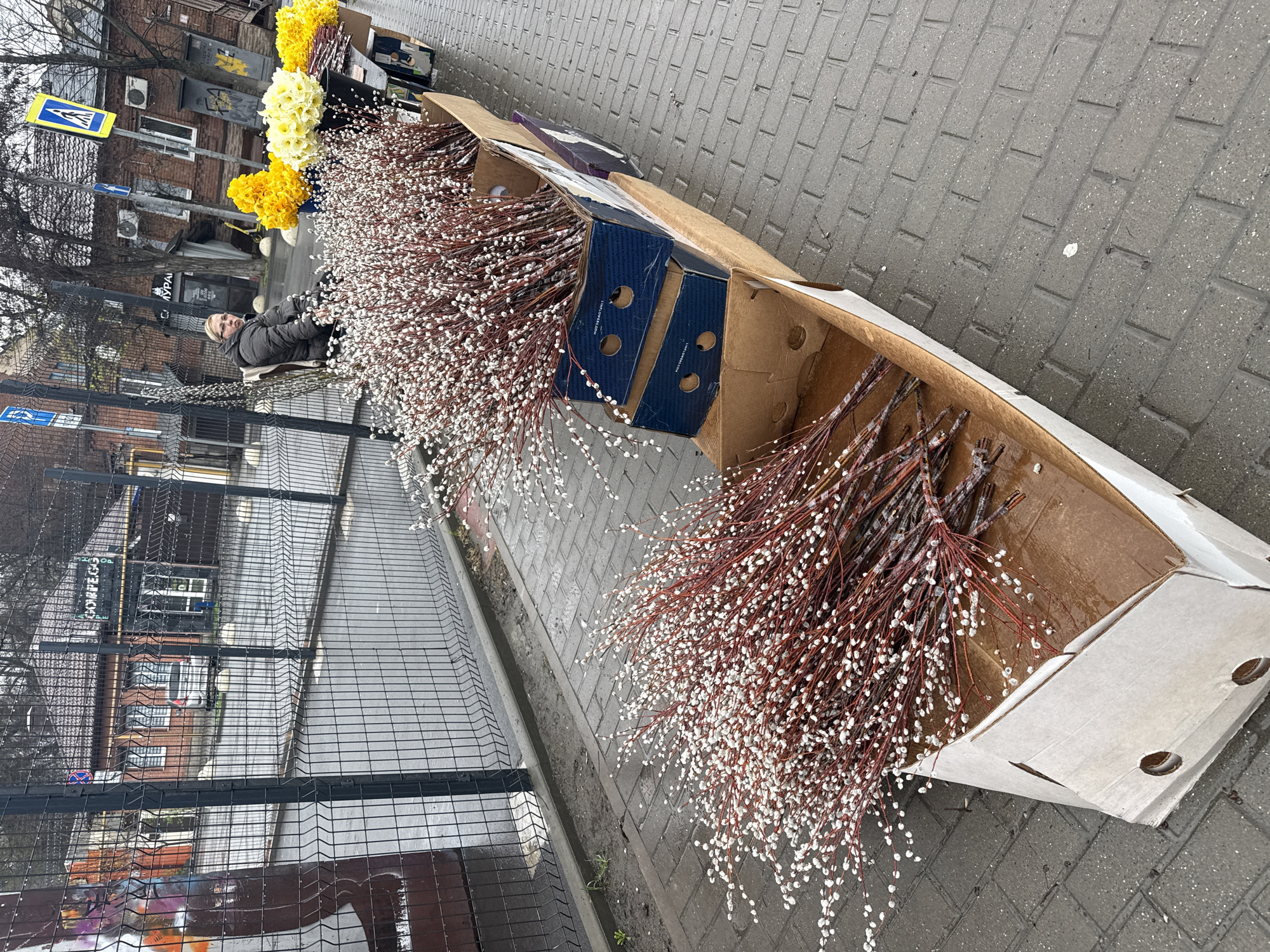 The image shows a street scene in Rostov-on-Don, Russia. On the right, a long, open cardboard box is filled with bundles of willow branches with white catkins. The box is partially on the gray brick sidewalk. To the left, a wire fence separates the sidewalk from a building and street. Behind the willow branches, a person is sitting and leaning against a display of yellow flowers. A pedestrian crossing sign is visible in the background, and other buildings line the street. The sky appears overcast.