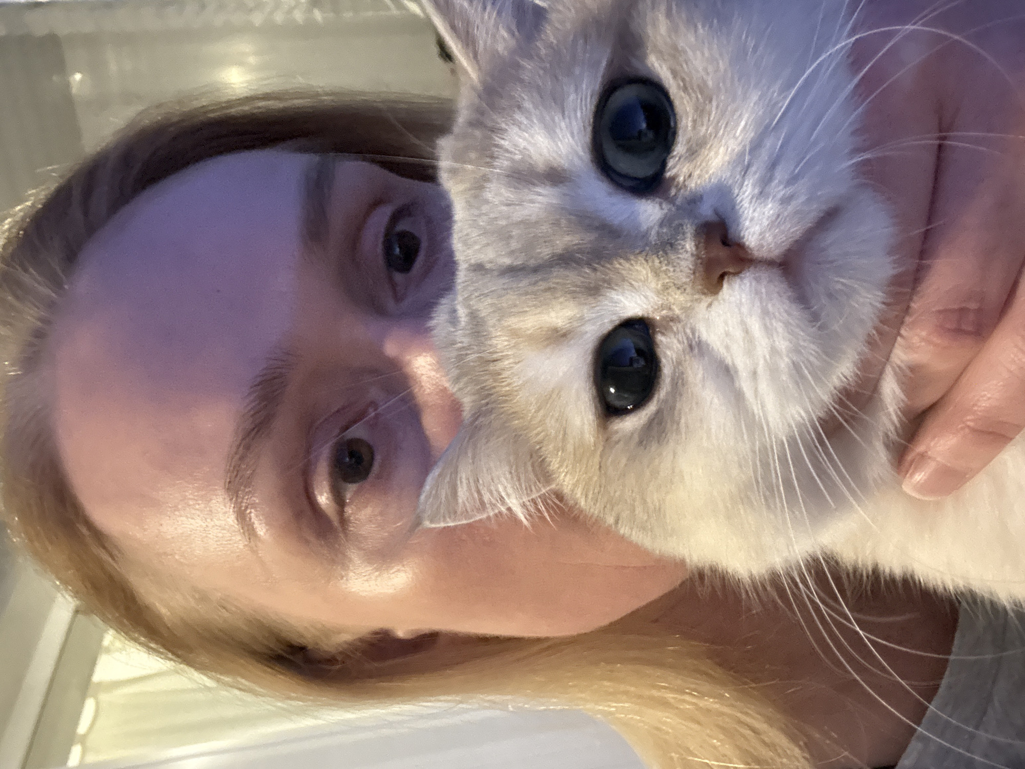 A fair-skinned person with blonde hair is holding a light-colored cat with blue eyes. The cat is positioned in front of the person's face, partially obscuring it. The person is looking at the camera. The location and city of Chaikovsky, Russia cannot be determined from this image.