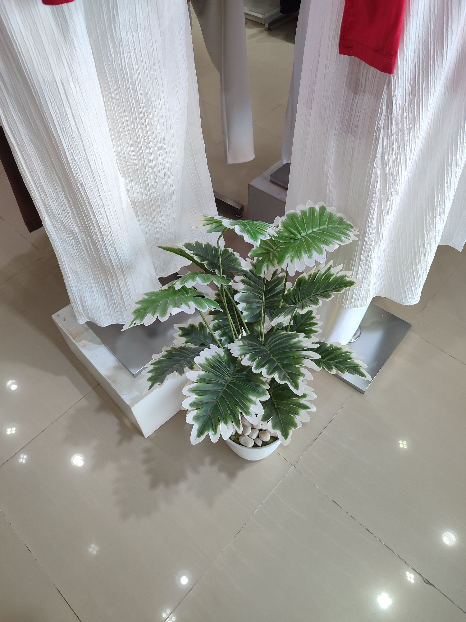 The image depicts an indoor scene featuring a potted artificial plant with variegated green and white leaves placed on a light-colored tiled floor. Behind the plant, two large, white, textured fabric drapes are visible, appearing to be part of a display or partition. One drape has a segment of red fabric attached near its top. The overall environment suggests a retail or exhibition space. No people are visible in the image. The lighting creates reflections on the floor tiles. The location of Tegal, Indonesia, is not directly ascertainable from the visual information presented.