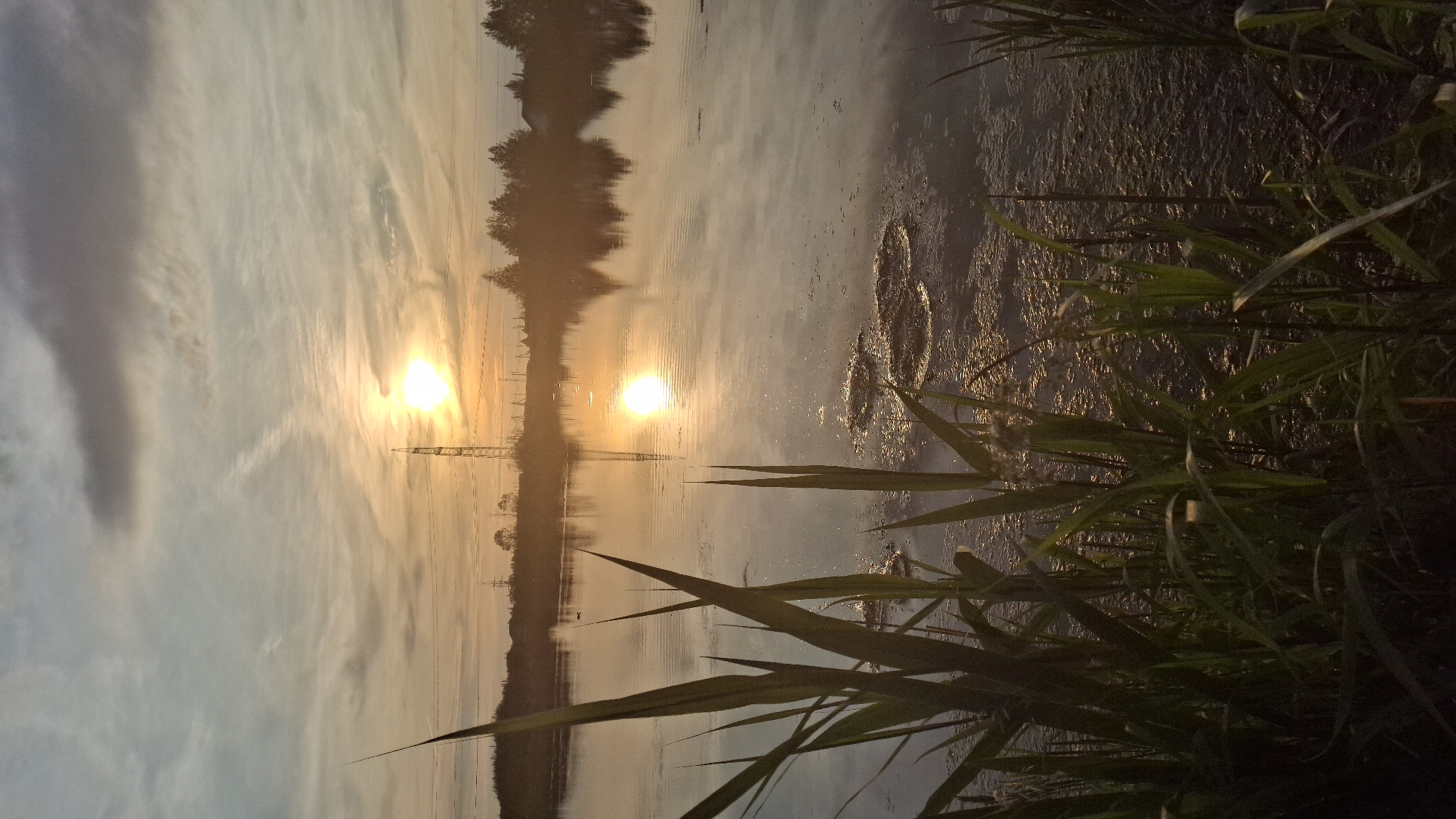This image depicts a natural landscape scene at sunset in Innolovo, Russia. The foreground is dominated by tall, green reeds and grasses, with some clumps of dark, organic matter floating on the water's surface. The water itself is calm and reflects the sky and surrounding environment. In the middle ground, a body of water stretches out, with a silhouetted tree line and some structures visible on the far bank. A tall, lattice-like power transmission tower stands prominently against the sky. The sky is filled with wispy, elongated clouds, and the setting sun casts a warm, orange-yellow glow across the scene, creating a reflection on the water. The overall atmosphere is serene and tranquil.