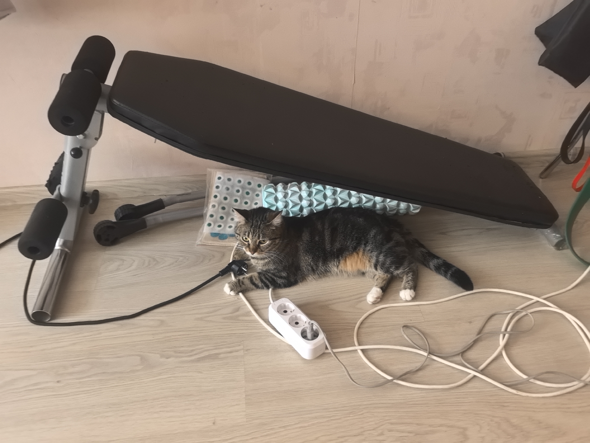 A tabby cat with white paws lies on a light-colored wooden floor next to a black exercise bench. The cat is positioned near a white power strip with three outlets, which is plugged into a black cord extending from the left side of the frame. There are also several coiled electrical cords on the floor. The exercise bench is angled, with its padded surface facing upwards. The background consists of a light-colored wall. The scene appears to be indoors, possibly in a home environment, in the city of Verkhnetemernitsky, Russia.