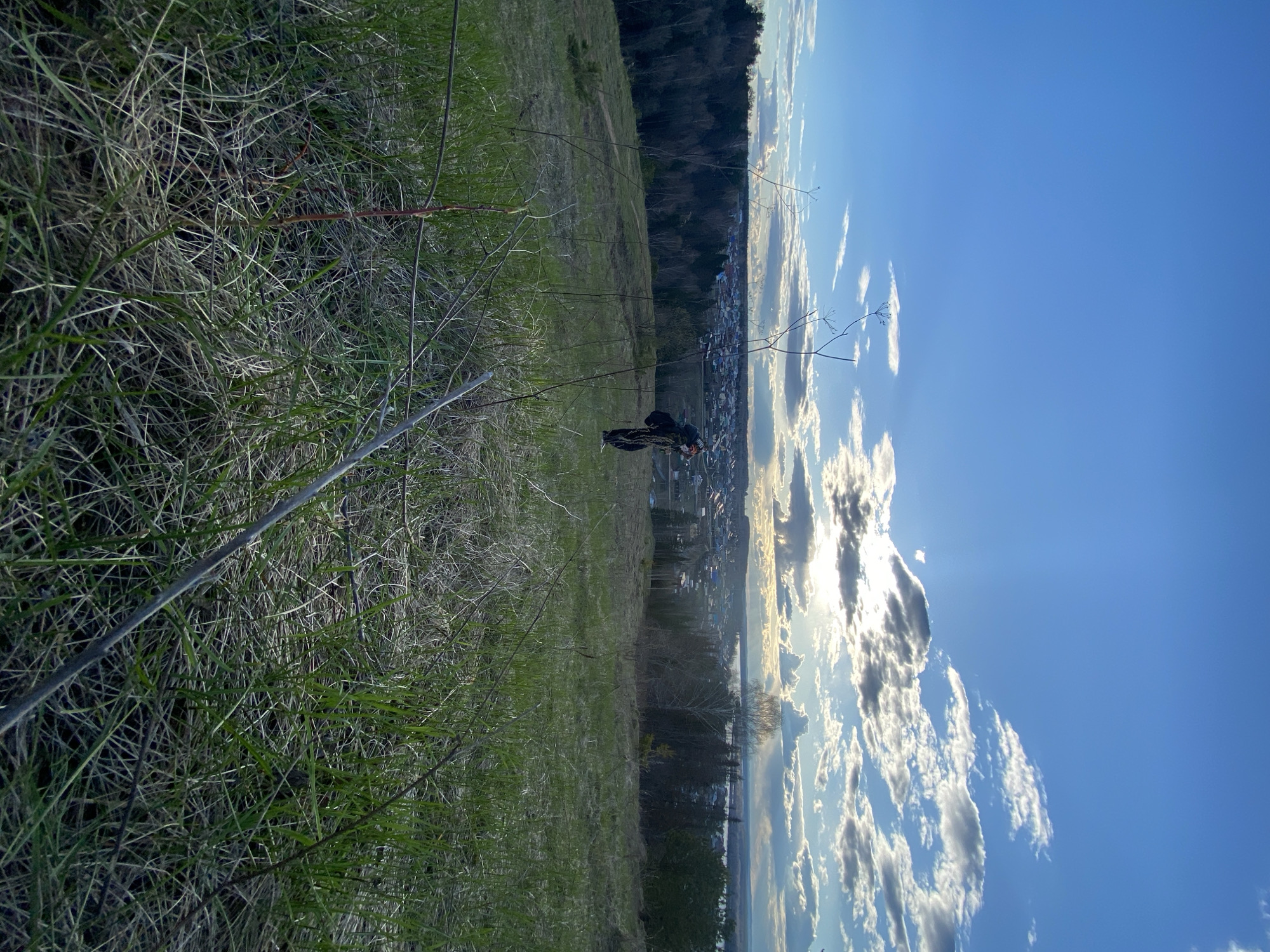 The image captures an outdoor panoramic scene, likely taken from a hillside during late afternoon or early evening. The perspective looks down over a valley or plain where a town is situated.
In the foreground, sparse green and dry grass covers the ground, intermingled with thin, dark branches and twigs. A thick, grey cable or pipe runs diagonally across the lower left section of the frame, extending into the grassy field.
A solitary person, dressed in dark clothing, is visible in the middle ground, appearing to be sitting or crouching on the hillside, observing the view. Beyond them, a dense line of dark trees and a sloping hillside form a natural boundary before the distant settlement.
The background features a sprawling town or village with numerous buildings under a vast sky. Further in the distance, soft hills or mountains line the horizon.
The sky, occupying the upper portion of the image, is a clear blue, adorned with scattered white and grey clouds. The sun is low on the horizon, partially obscured by clouds, casting bright, visible rays of light downwards, creating a "god rays" effect. The warm light suggests either sunrise or sunset, with the latter being more probable. There is no visible text in the image.