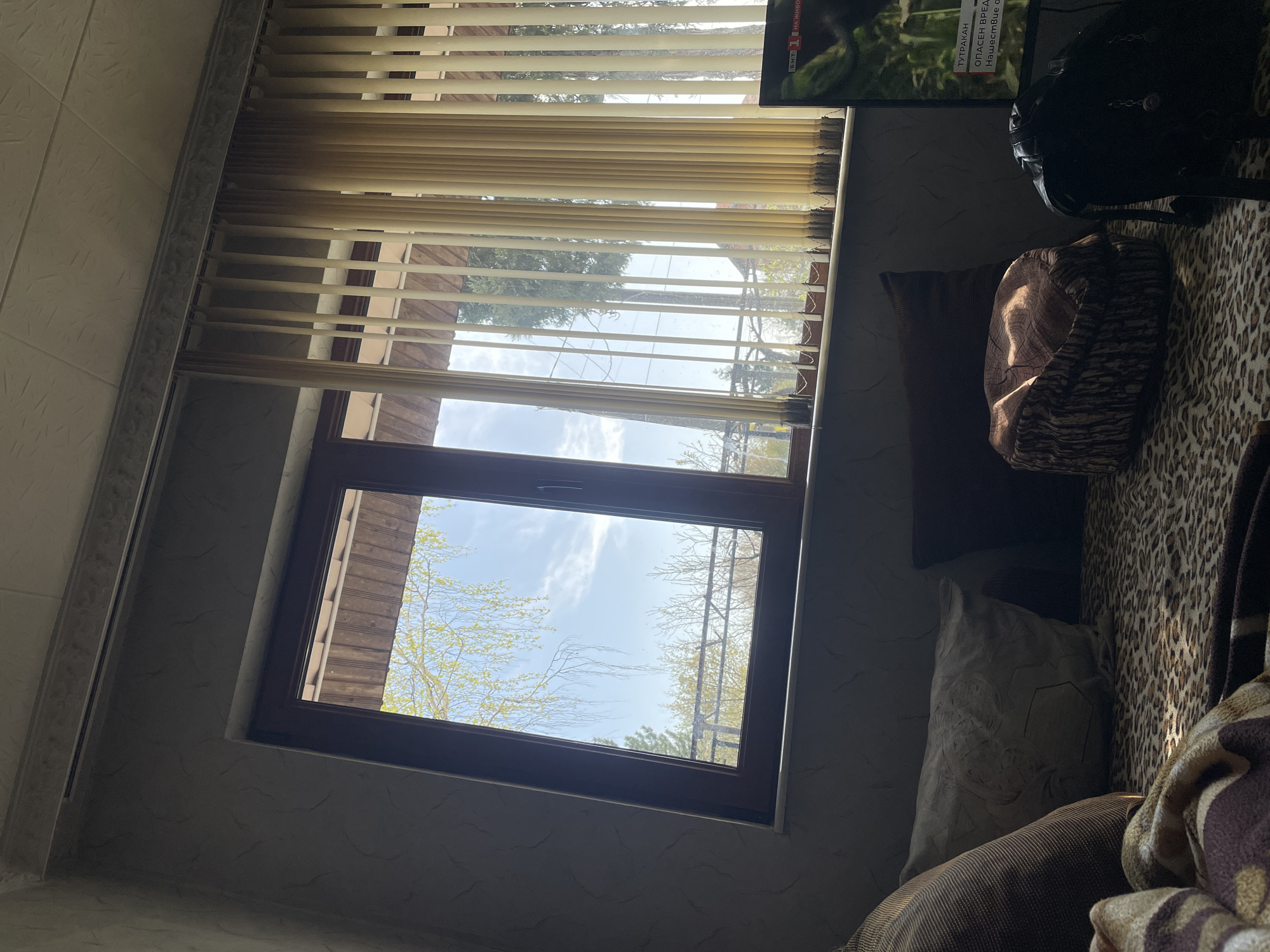 The image shows an interior view looking out a window. The window has vertical blinds, and the view outside reveals trees with budding leaves under a bright, partially cloudy sky. The window frame is dark brown. Inside, the wall has a patterned texture. A portion of a television screen is visible in the upper right, along with pillows and a blanket with a leopard print. The location is Rupkite, Bulgaria.
