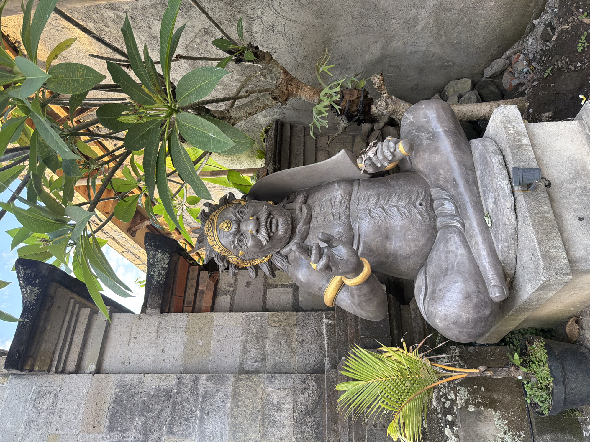 A stone statue of a fearsome deity, possibly a guardian or demon, sits cross-legged on a stone pedestal. The statue is dark gray with gold accents on its headdress and armbands. It has a prominent mustache, bared teeth, and wide eyes. Its left hand is raised in a gesture, and its right hand holds a cylindrical object. The statue is positioned in an outdoor courtyard next to a stone wall. To its left is a small potted palm tree. Behind the statue, a frangipani tree with lush green leaves grows. The background consists of a rough concrete wall and glimpses of traditional Balinese architecture, including brickwork and carved stone. The scene appears to be in a tropical environment, likely in a temple or a traditional Balinese home in Ubud, Indonesia. The lighting suggests it is daytime, with sunlight illuminating the scene.