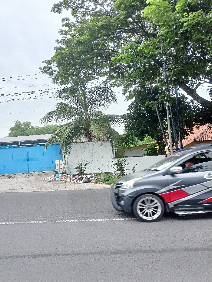 This image captures a street scene, likely in Pungging, Indonesia, under an overcast sky during the daytime. The primary subject is a dark grey car, possibly a sedan or MPV, moving from right to left across the frame. The car features distinctive red, black, and silver graphic decals along its side, and its driver's head is visible through the window. The car's front bumper and part of the front wheel are prominently featured.
The setting includes a paved asphalt road in the foreground, with a faint white line visible. To the left of the road, a white wall stands, partially obscuring a large blue garage door on a building behind it. A significant pile of trash and debris is accumulated at the base of this wall, near the road.
Above the wall and buildings, the scene is dominated by lush green trees, including a tall palm tree with its fronds extending across the upper left of the frame. Other large trees with dense foliage are visible towards the center and right. Overhead, multiple power lines crisscross against the light, cloudy sky. In the far background on the right, a small section of a building with a reddish-brown tiled roof can be seen through the tree cover. No discernible text is visible in the image.