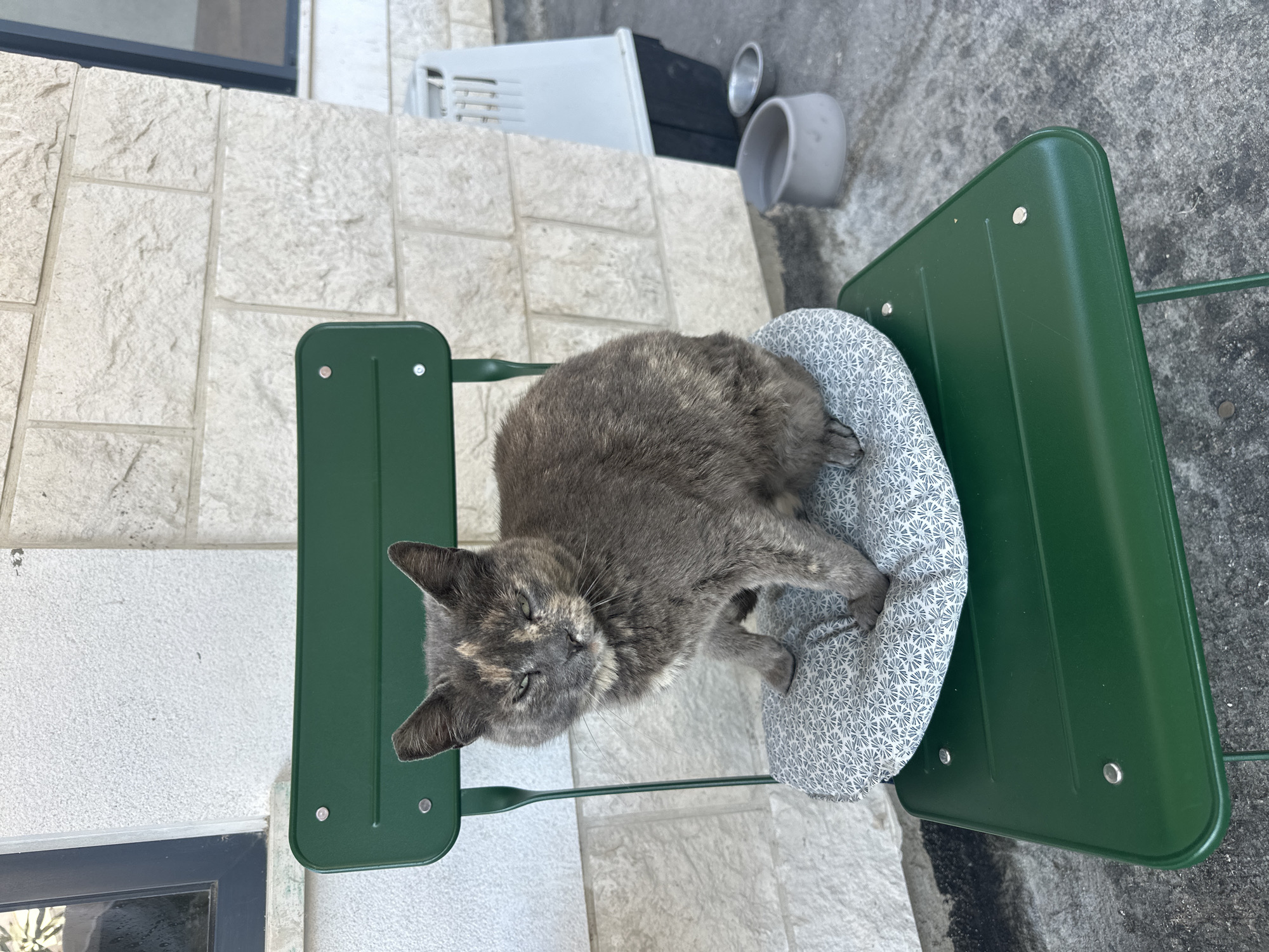 A tortoiseshell cat, primarily grey with cream and tan markings, is the central subject, comfortably resting on a patterned cushion atop a dark green metal chair. The cat's eyes are partially closed, suggesting a relaxed or sleepy state. Its body is curled slightly, with paws tucked under.
The chair is a simple outdoor design, made of green metal, positioned on a light-colored concrete surface. Behind the chair is a wall constructed of rectangular, light-toned stone blocks. A dark window frame is visible along the base of this wall on the left side of the image.
To the right of the chair, on the concrete ground, are two grey bowls, likely for pet food and water, next to a white outdoor unit, possibly an air conditioner or ventilation system. The scene depicts an outdoor setting, likely a patio or courtyard next to a building. The lighting is bright and even, indicating daytime with clear weather. There is no visible text in the image. The overall impression is one of a calm and domestic outdoor environment in Budva, Montenegro.