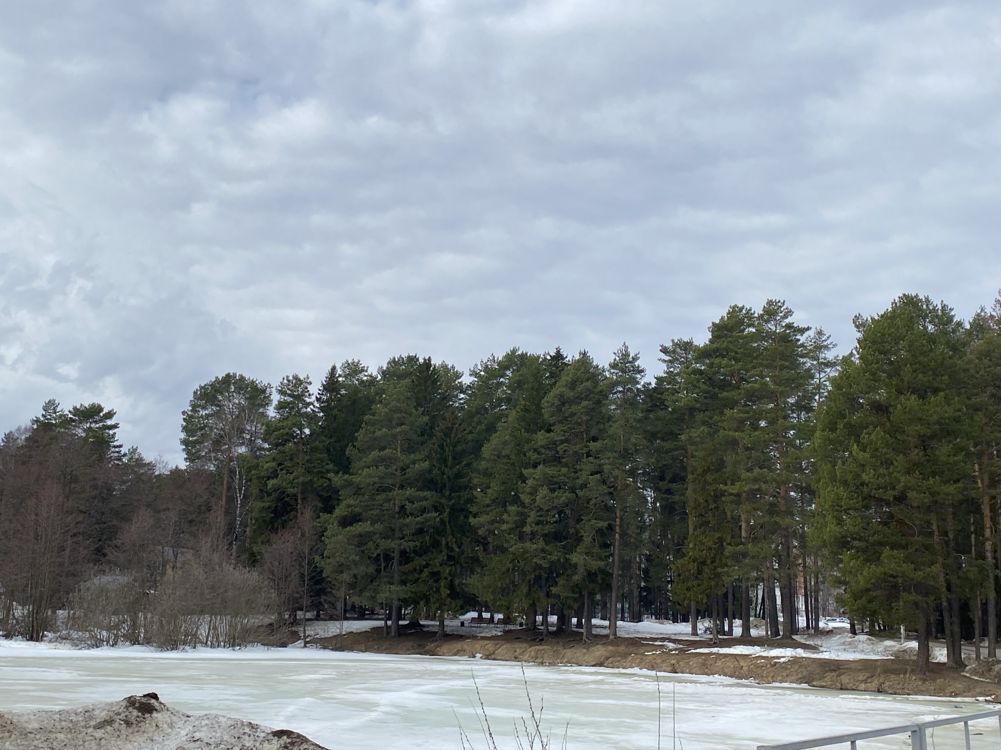 The image shows a frozen lake in Chaikovsky, Russia, with melting ice and snow. A dense forest of primarily evergreen trees lines the back of the lake. The sky is overcast with grey clouds. Evidence of melting snow is visible along the shoreline and in patches within the forest. A railing is visible in the lower right corner of the image.