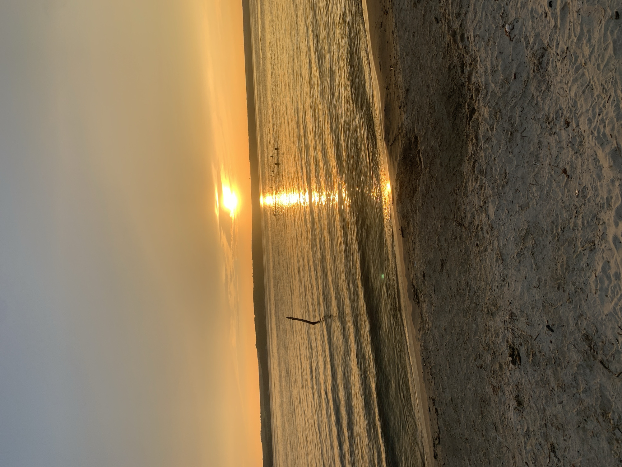 A serene sunset over a calm body of water is depicted in the image. The sun, a bright orb, is low on the horizon, casting a warm golden glow across the sky and reflecting on the water's surface, creating a shimmering path. The water gently laps at a sandy shore in the foreground, where a few scattered pieces of debris, like twigs and dry leaves, are visible on the sand. In the middle ground, a solitary wooden post rises from the water, adding a vertical element to the scene. A small group of birds are dotted across the water, some appearing to be swimming or floating. In the distance, a tree-lined landmass forms the horizon. The sky transitions from a pale blue at the top to a rich orange and yellow near the sun. The overall atmosphere is peaceful and tranquil. The provided information states the location is in the city of Матюшино, Russia, suggesting this is likely a natural area or a lakeside resort within the city.