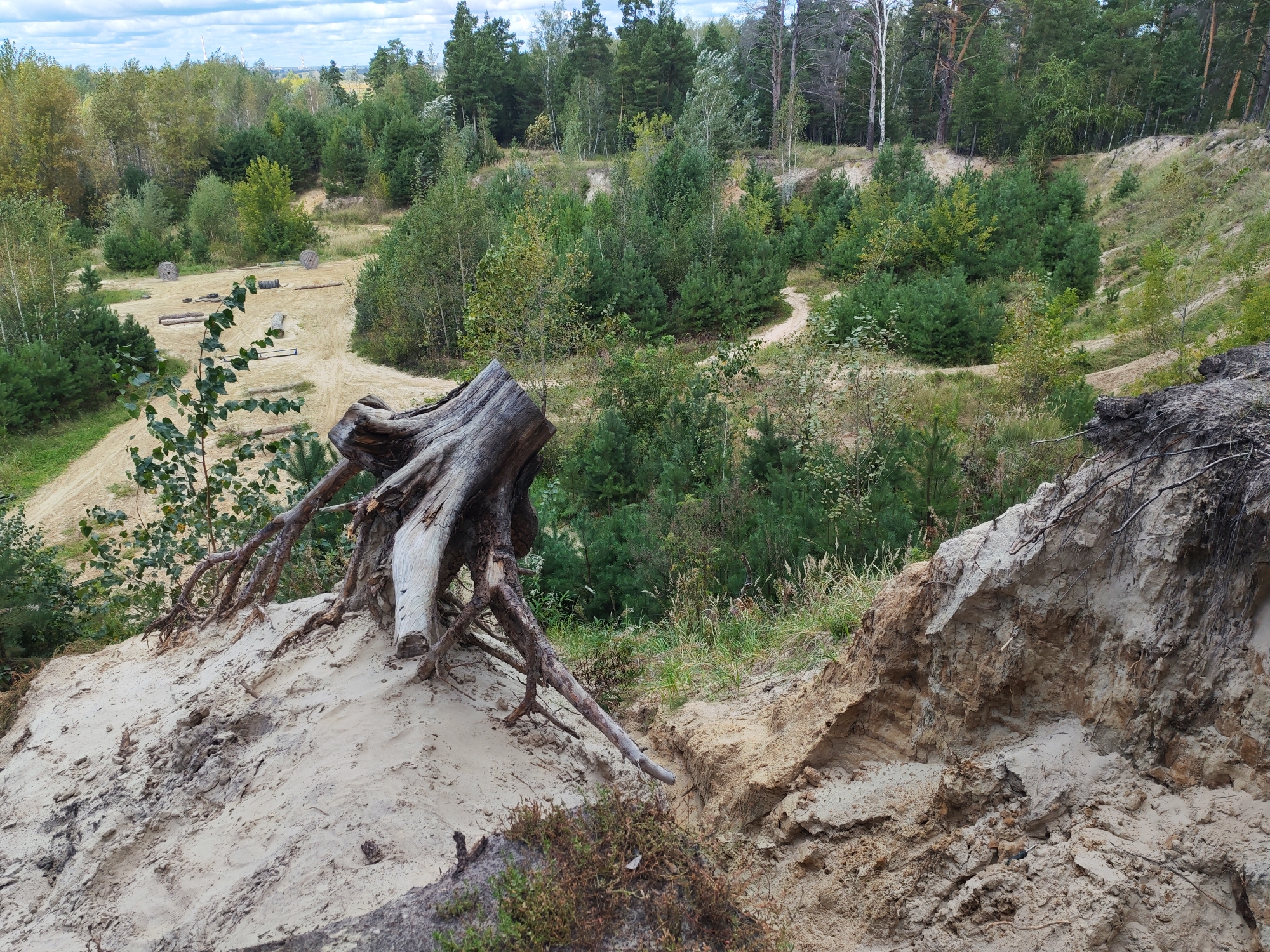 The image shows a sandy landscape with sparse trees and vegetation, likely a sand pit or a cleared area in a forest. In the foreground, a large, weathered tree stump with exposed roots dominates a sandy slope. In the middle ground, a sandy track winds through the trees, with some discarded objects such as large spools, tires, and logs scattered along it. The background consists of a dense forest, and in the far distance, industrial structures with smokestacks are visible under a partly cloudy sky. The environment appears to be a rural or semi-industrial area on the outskirts of a city. The location is identified as a sand pit on the southern outskirts of Kurgan, Russia.