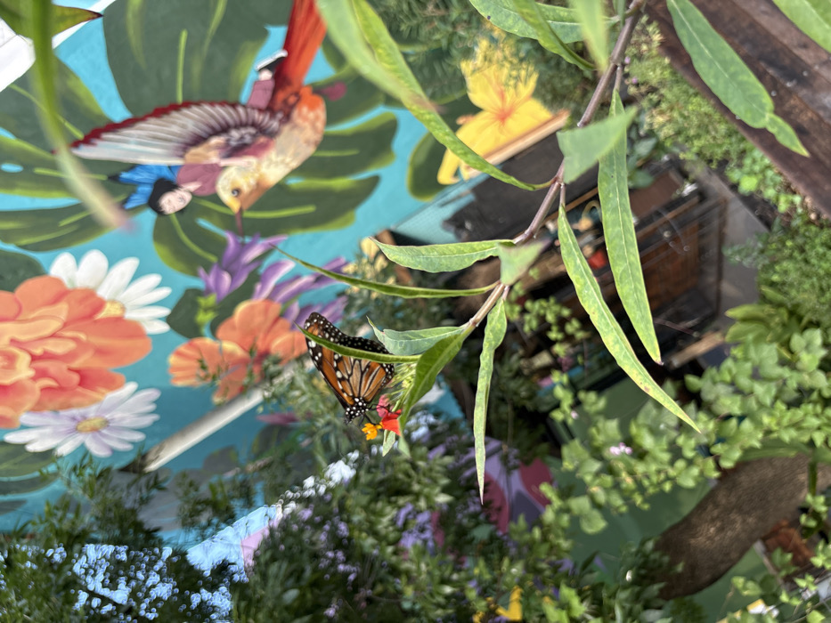 A monarch butterfly rests on small orange flowers, with a backdrop of lush greenery and a painted mural. The mural features vibrant depictions of a bird carrying a person, a yellow flower, and colorful blossoms, set against a turquoise sky. Reflections of trees and sky are visible on a glass surface.