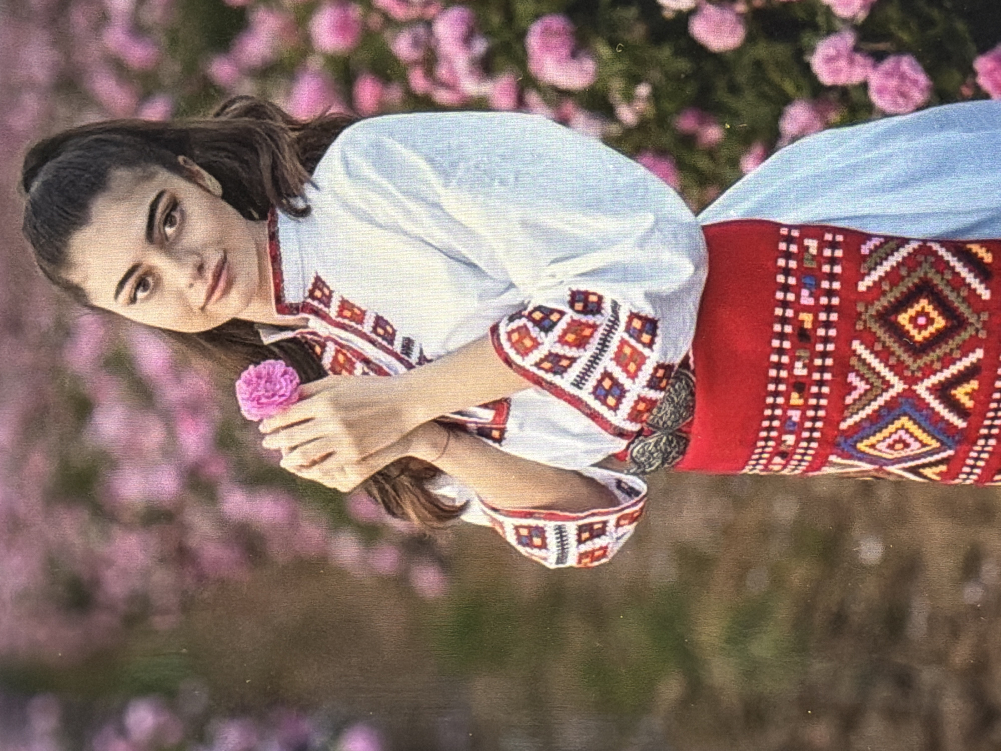 A young woman with long, dark hair pulled into a high ponytail stands in a field of pink roses. She is wearing a traditional white embroidered blouse with red and blue geometric patterns on the collar and sleeves, and a red embroidered skirt with a similar pattern. She holds a single pink rose to her chest. The background is a blur of pink rose bushes. The image is taken from the chest up, focusing on the woman and her attire. The lighting suggests it is daytime, likely outdoors. The location is described as Unknown, Unknown.