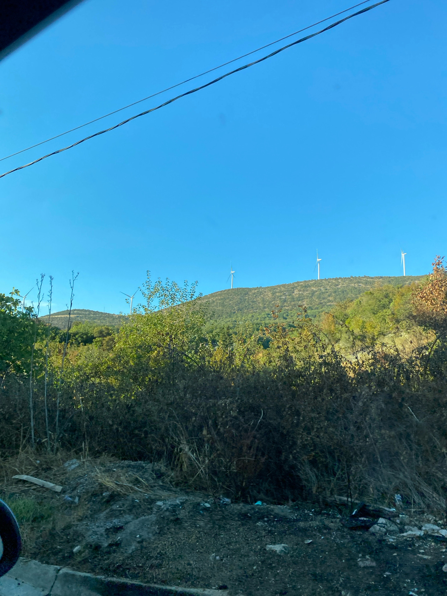The image depicts a landscape featuring wind turbines on a hill under a clear blue sky. In the foreground, dense vegetation, including dry grasses and green foliage, dominates the scene. The ground appears to be a mix of dirt and gravel, with some debris scattered around. Power lines are visible in the upper portion of the image. The scene is likely a rural or semi-rural area, possibly with some industrial infrastructure due to the presence of wind turbines. The environment appears dry and somewhat overgrown. There are no people visible in the image.