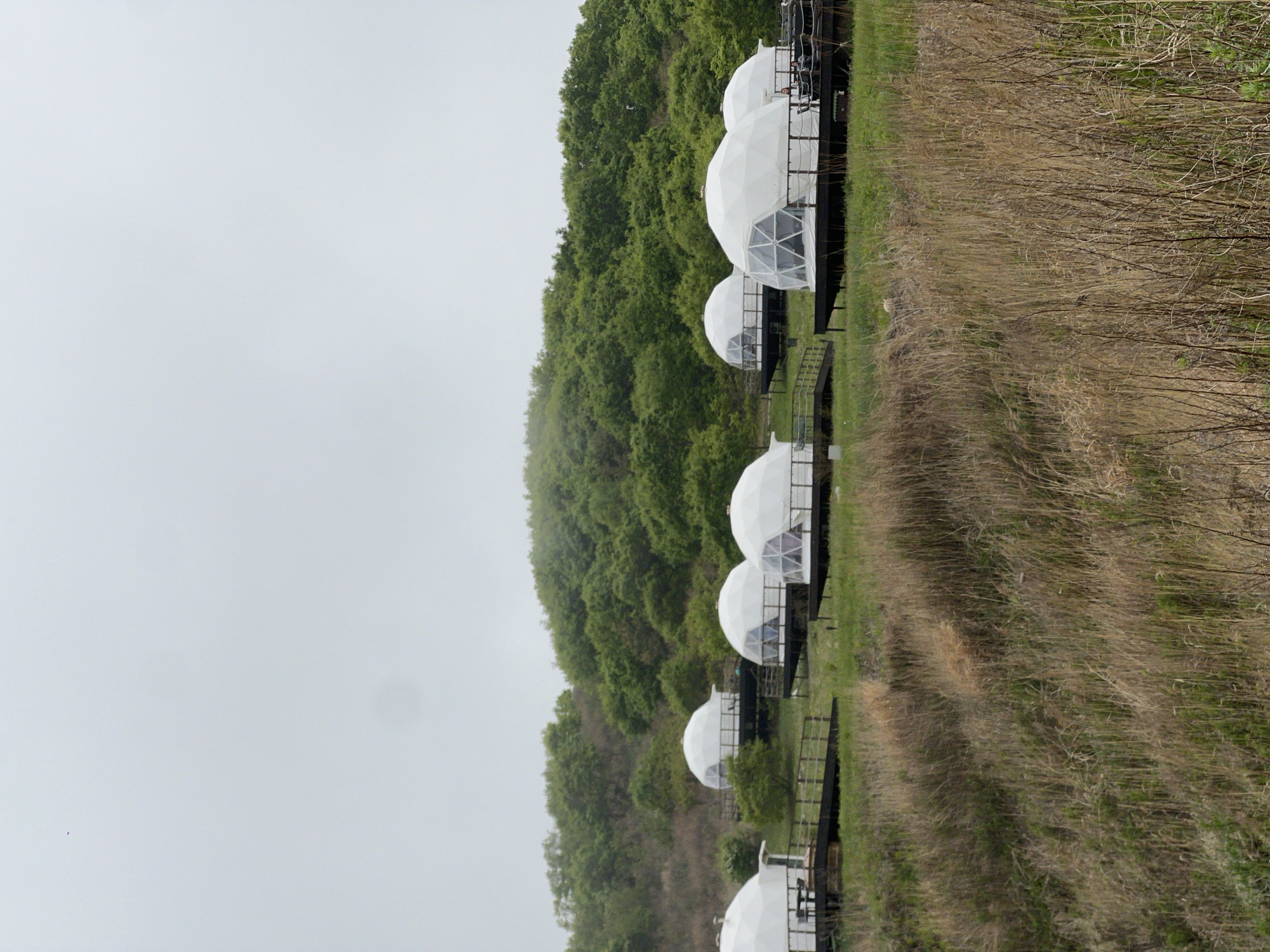 The image depicts a series of white geodesic domes situated on a grassy area in Zarubino, Russia. The domes are aligned in a row, with each appearing to be elevated on a platform. A metal framework or structure is visible around each dome, and some have staircases leading up to them. Adjacent to the domes is a dense treeline, with a field of tall, dry grass occupying the space on the other side. The sky above is overcast and gray.