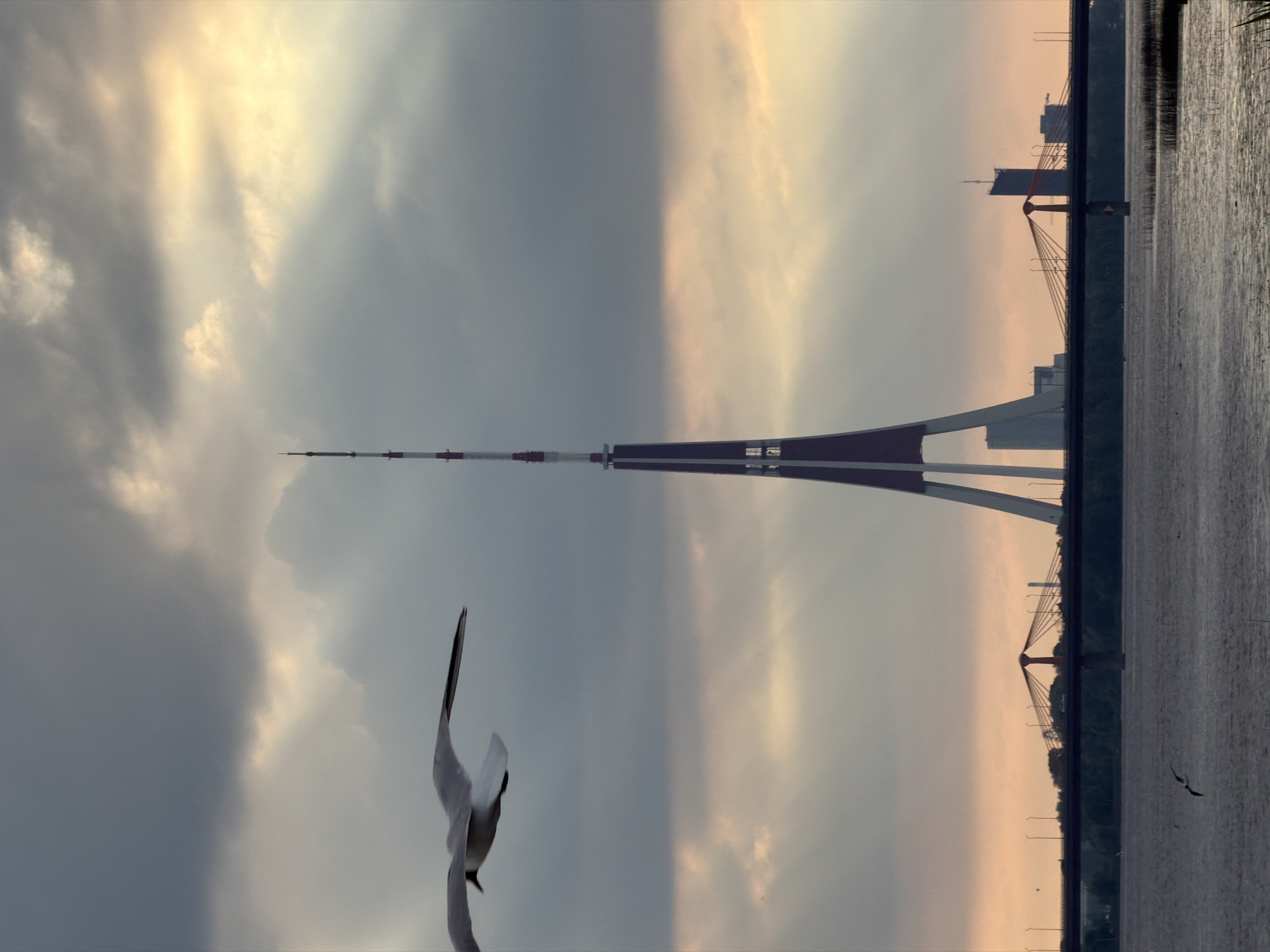 This is a wide shot of the Daugava River in Riga, Latvia, at dusk. A large radio and television tower, with red and white markings, dominates the center of the frame. In the foreground, a seagull flies to the left. In the mid-ground, a suspension bridge spans the river, with several buildings visible on the far bank. The sky is cloudy, with shafts of sunlight breaking through. The water is calm, reflecting the muted colors of the sky.